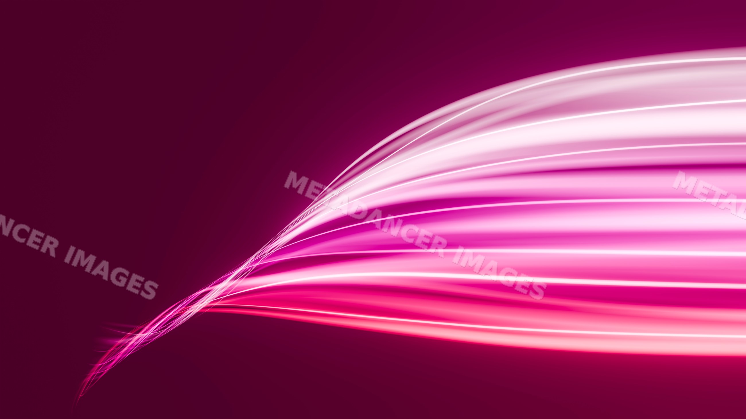 Abstract pink glowing light trails flowing