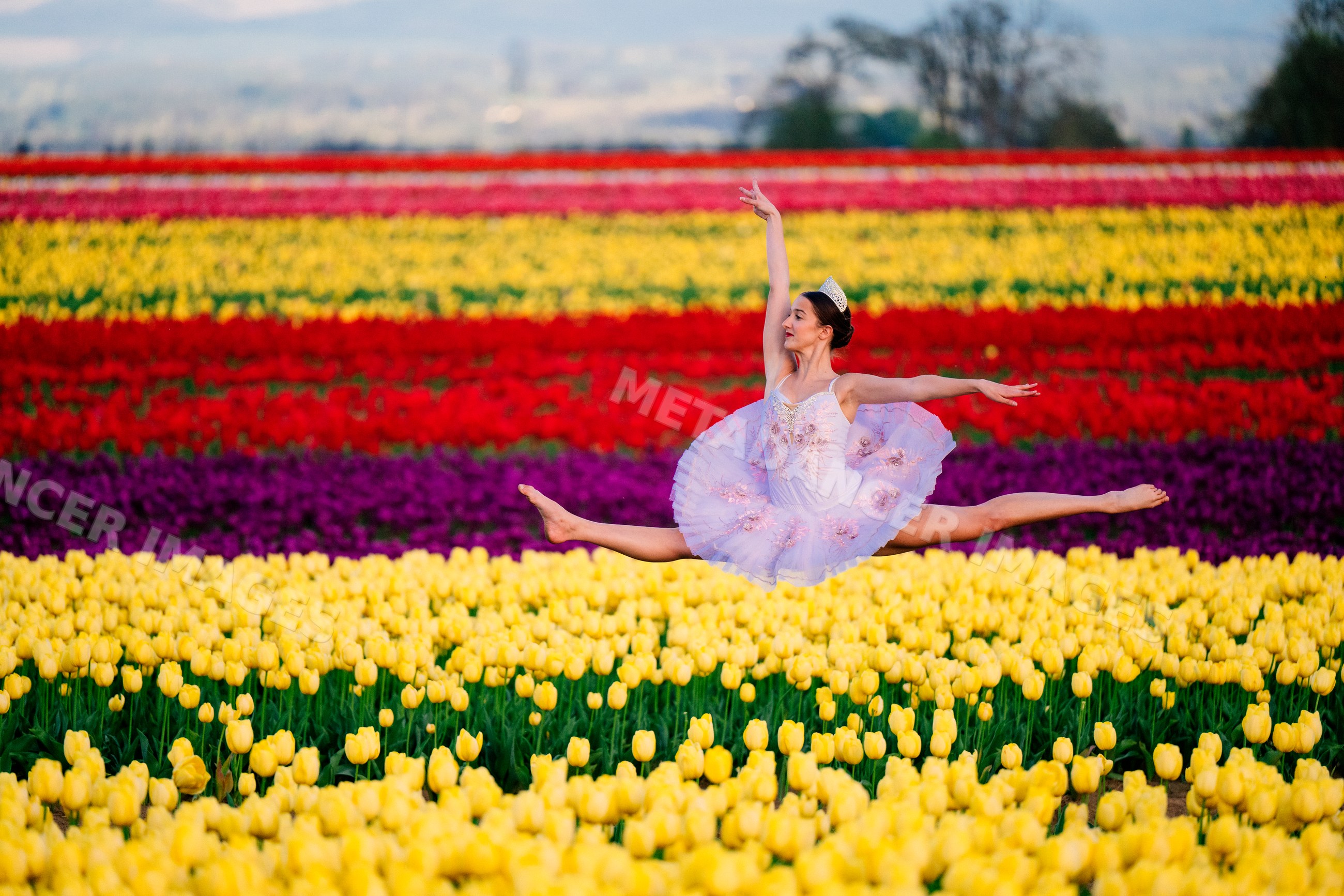 Ballet white dancer leaping over colorful tulip field outdoors