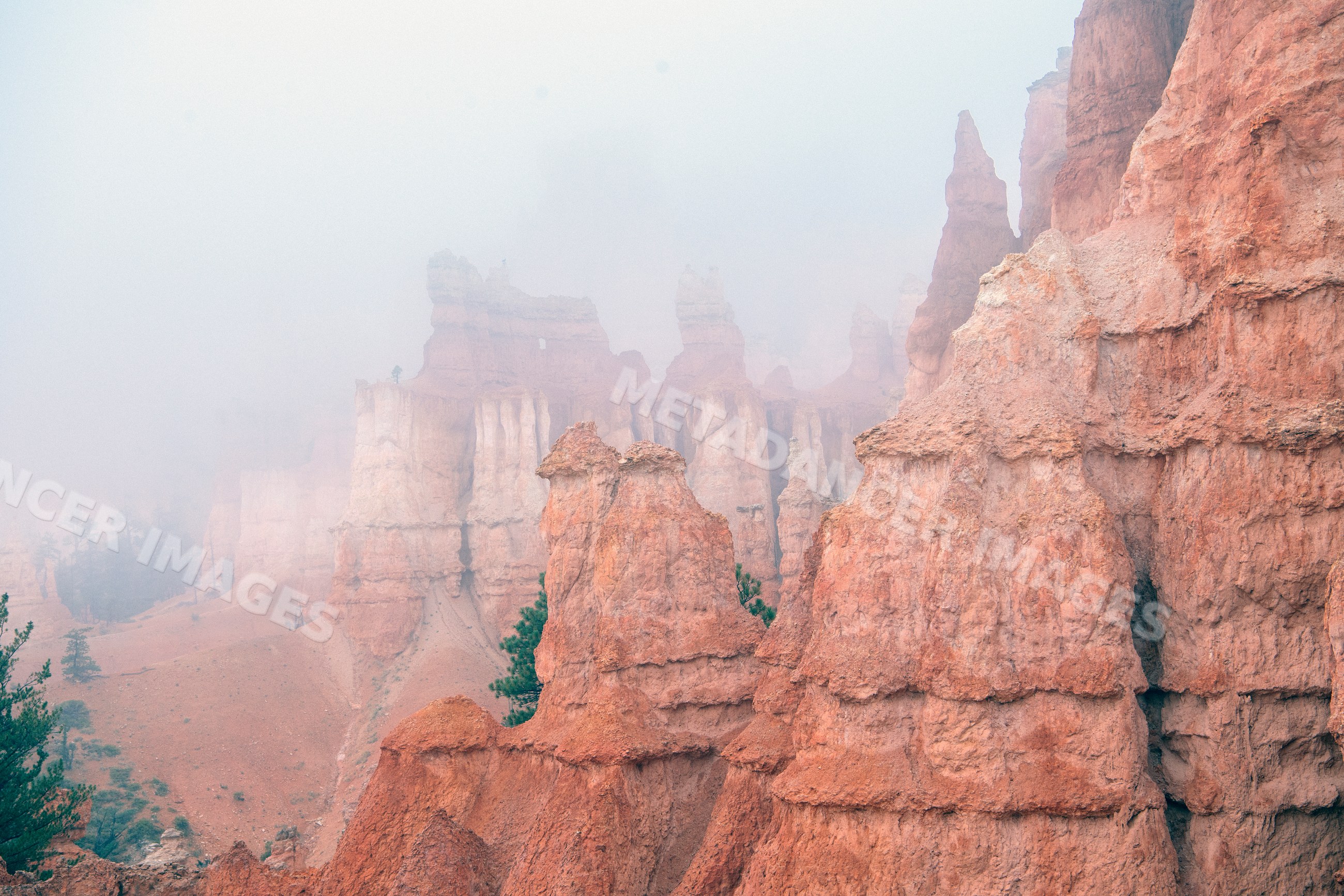 Foggy red rock formations and spires at Bryce Canyon National Park