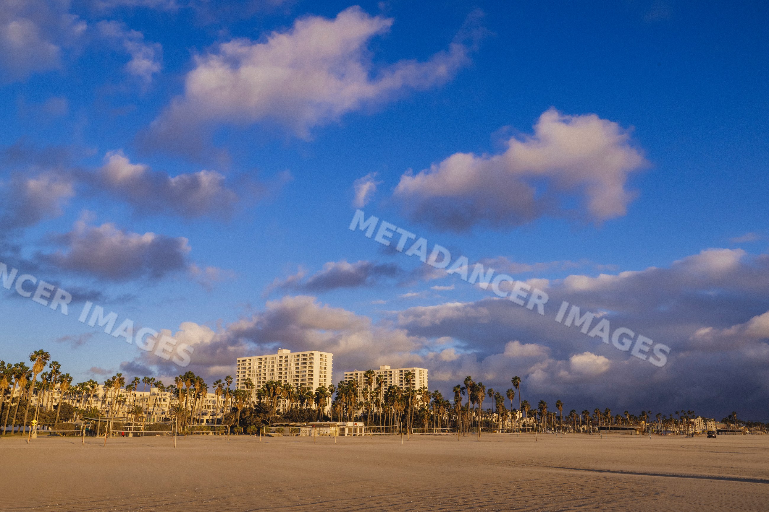 Venice Beach sandy shore with palm trees and buildings under blue sky