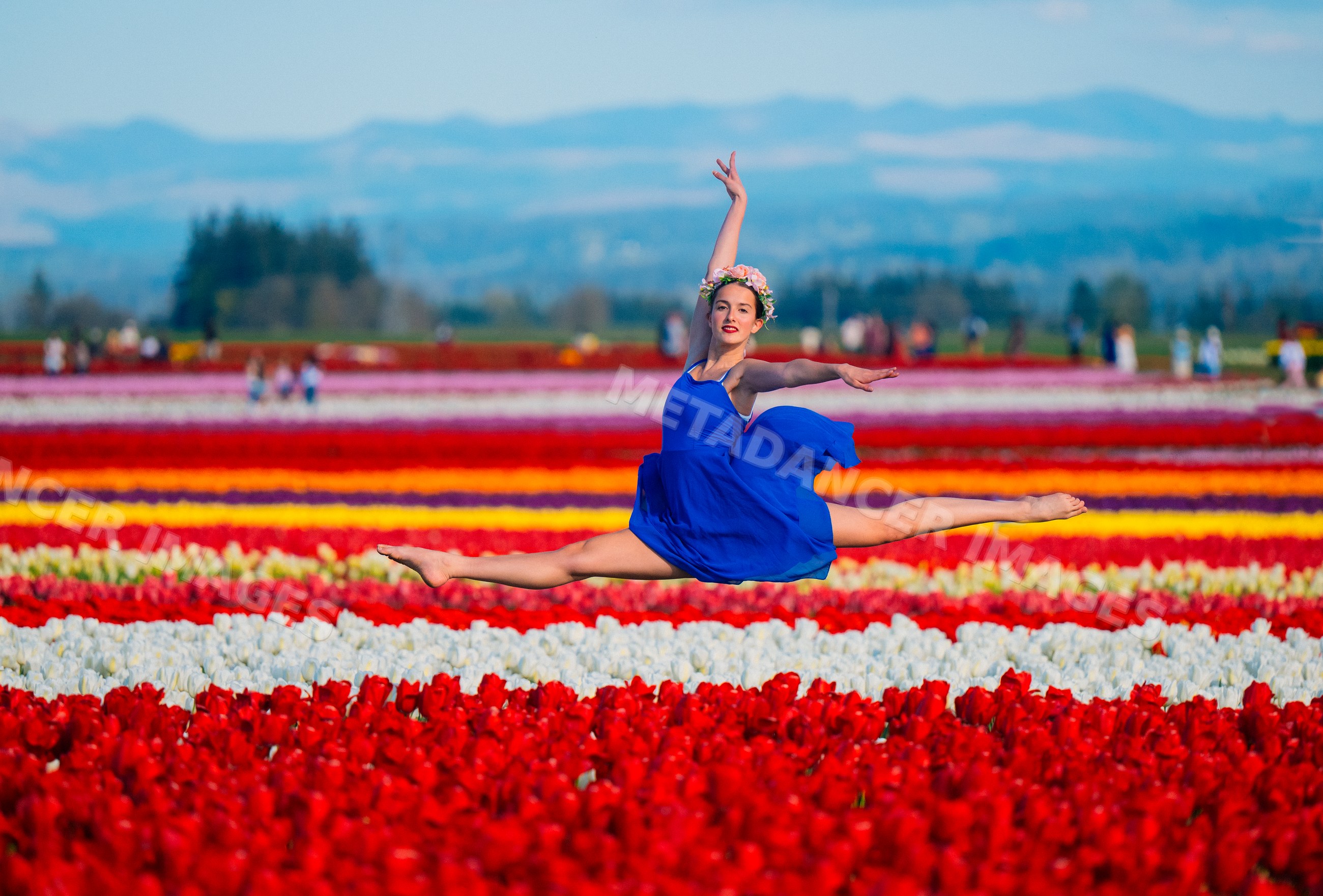 Ballet white dancer leaping over colorful tulip field