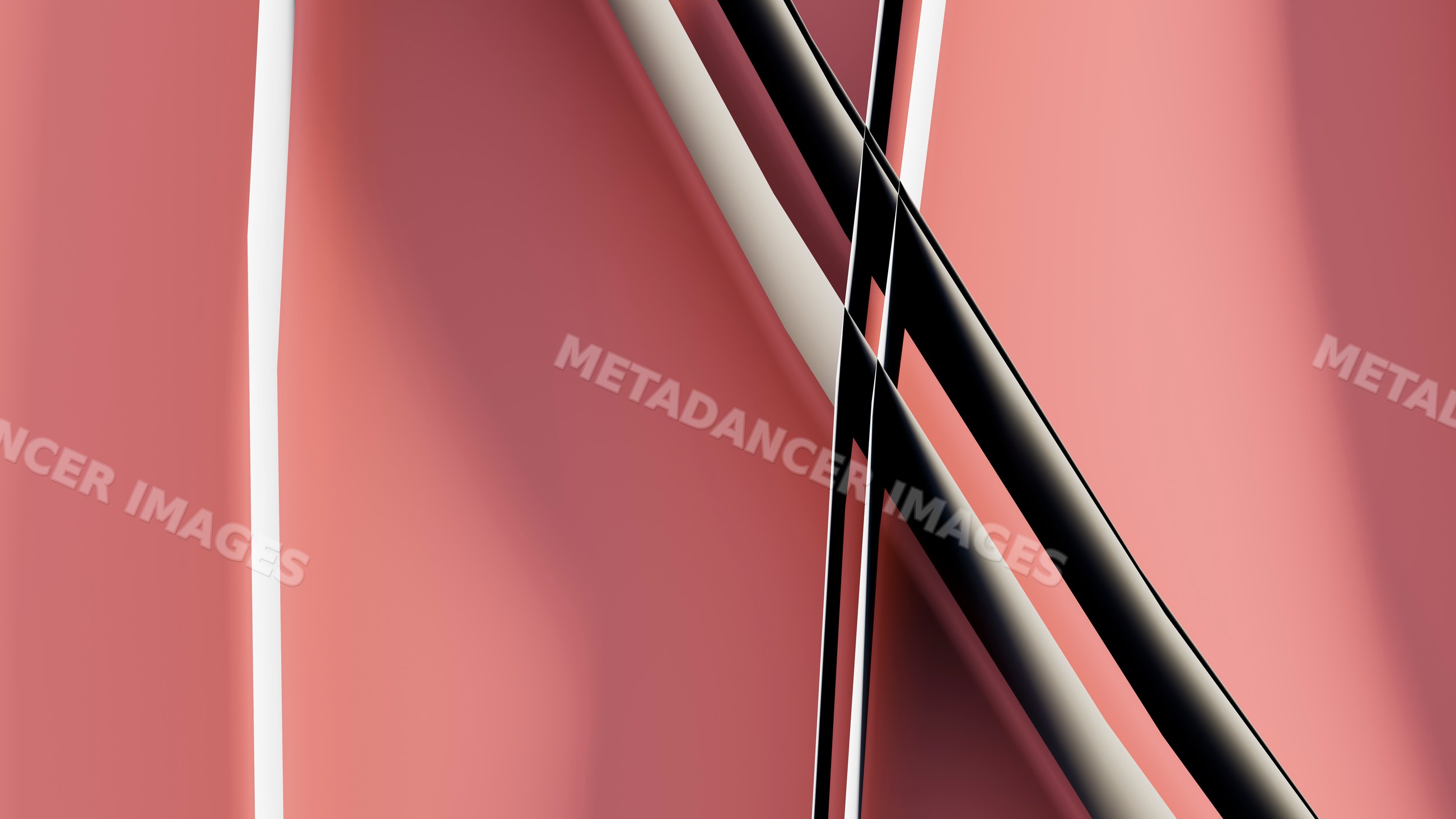 Abstract composition of intersecting curved lines in pink and Black