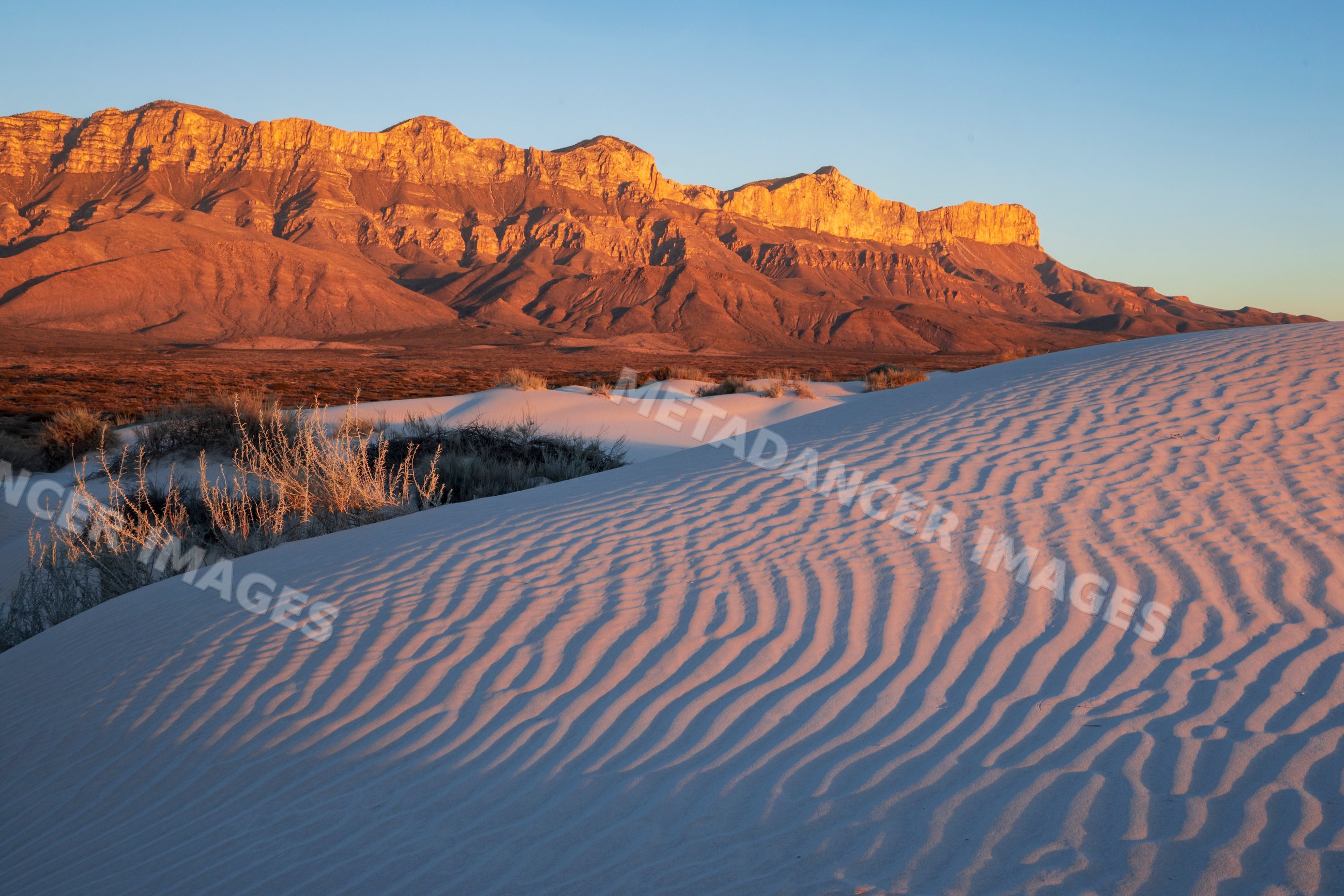 Salt Basin Dunes with Guadalupe Peak and El Capitan in a park