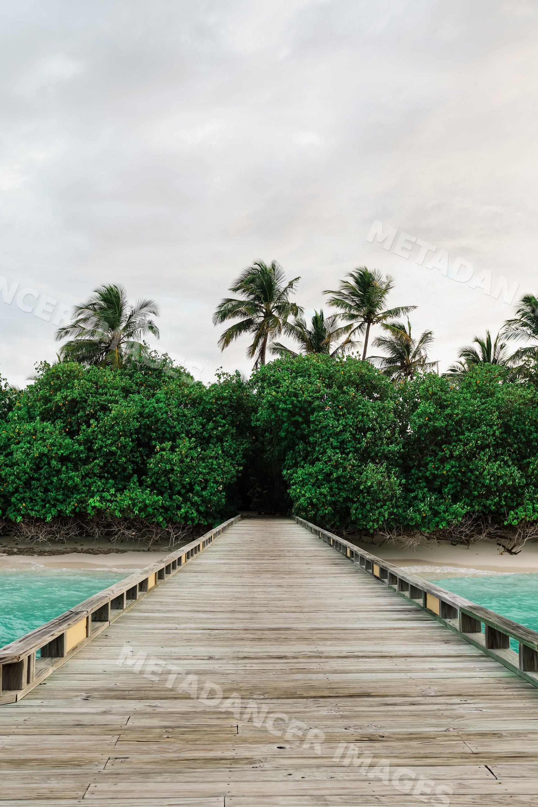Wooden boardwalk pathway through tropical trees by the beach