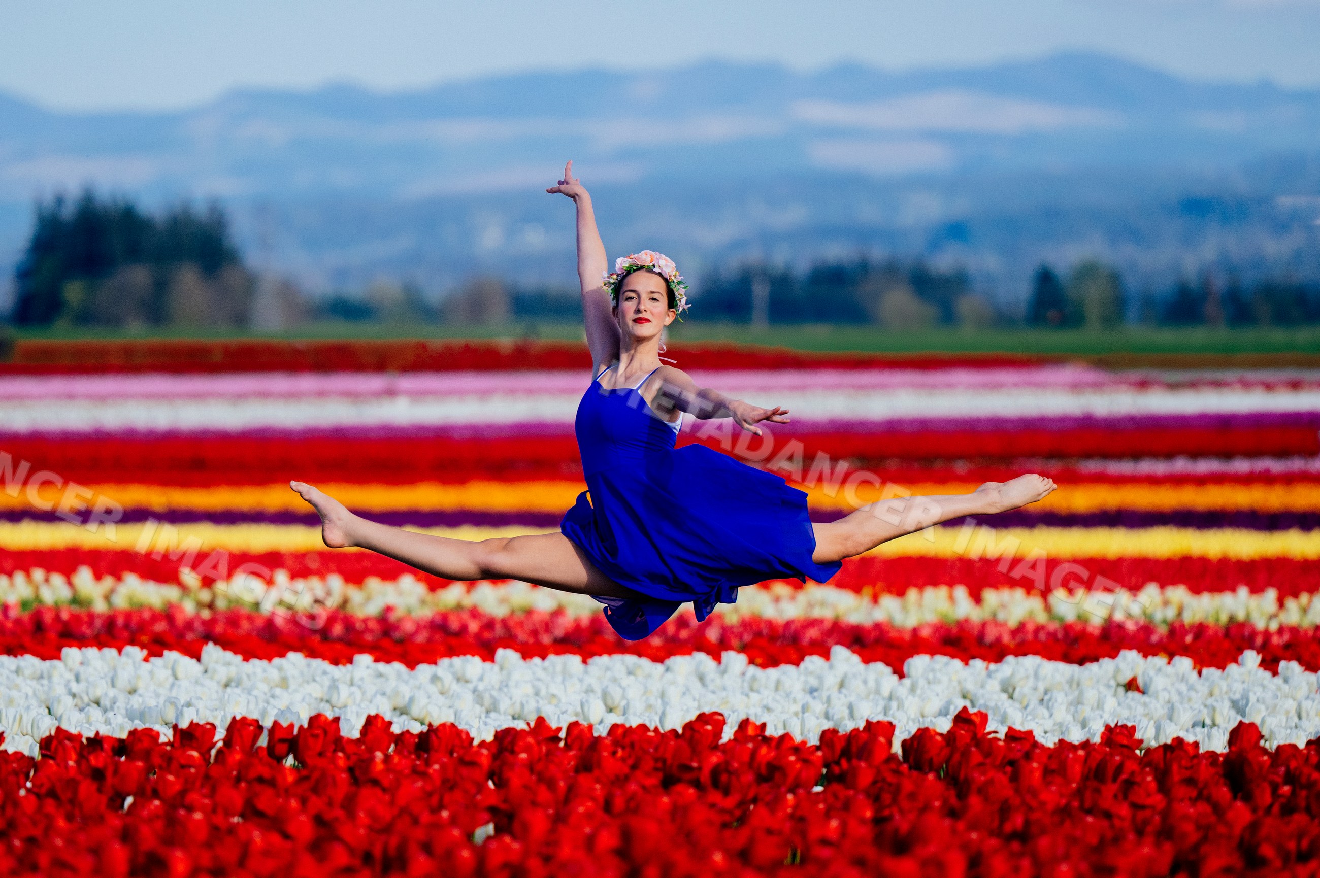Ballet white dancer leaping over colorful tulip fields