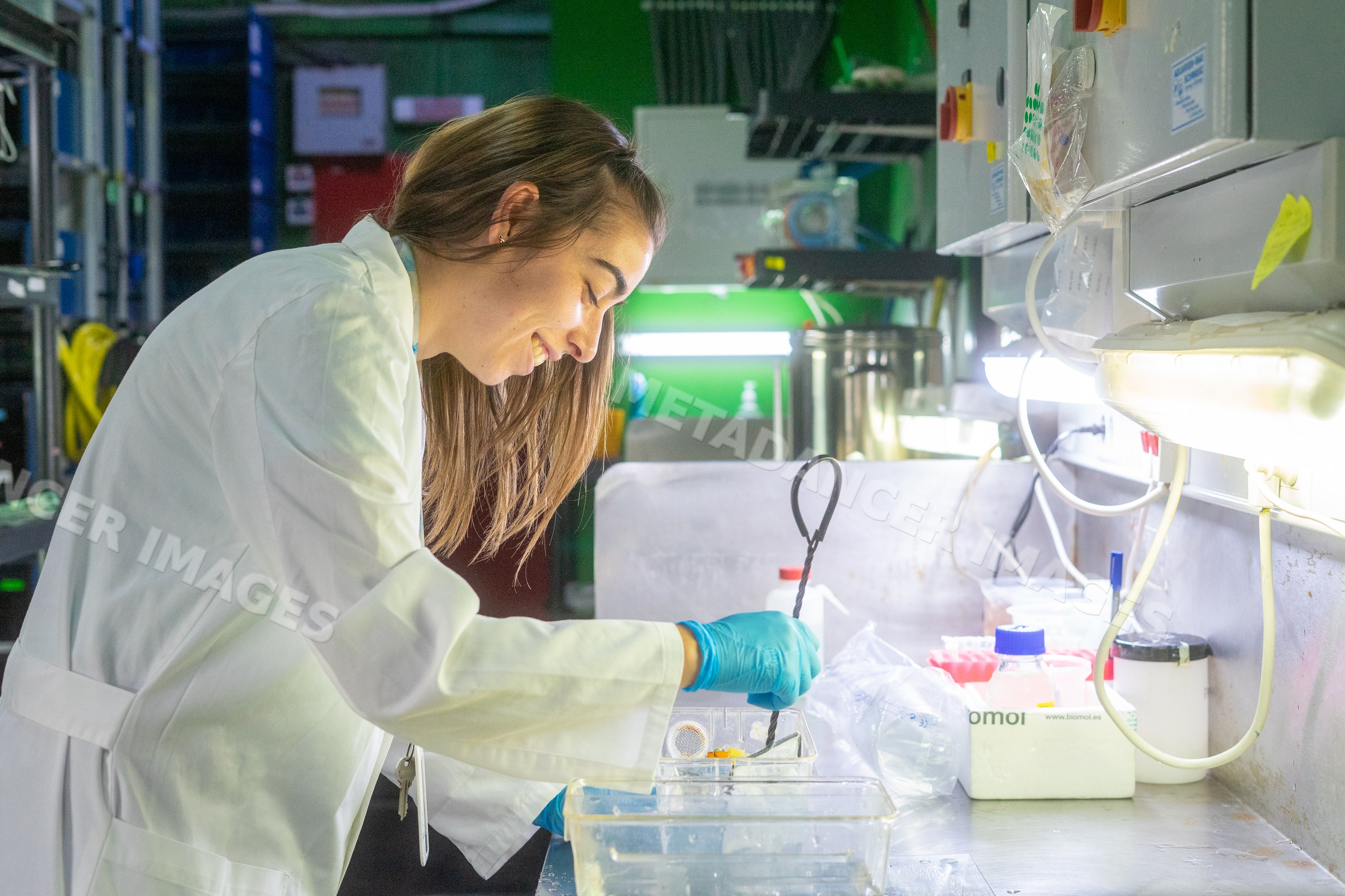 Female scientist conducting research in a laboratory in Spain