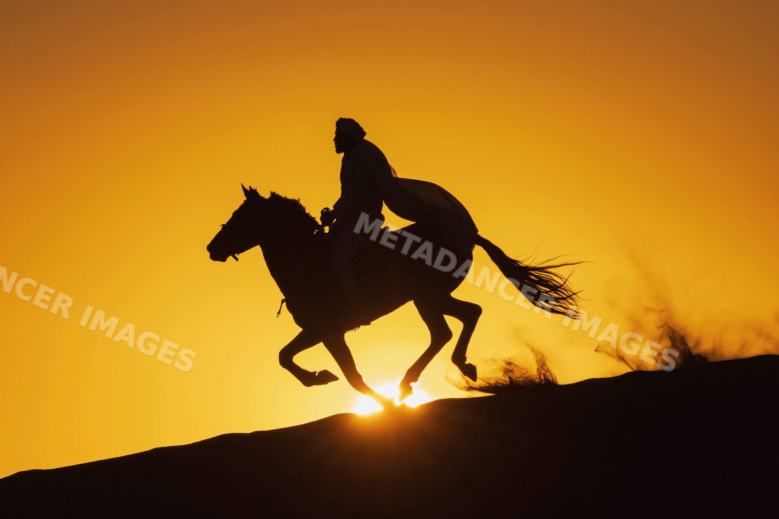 Berber Horseman riding horse over Desert dune