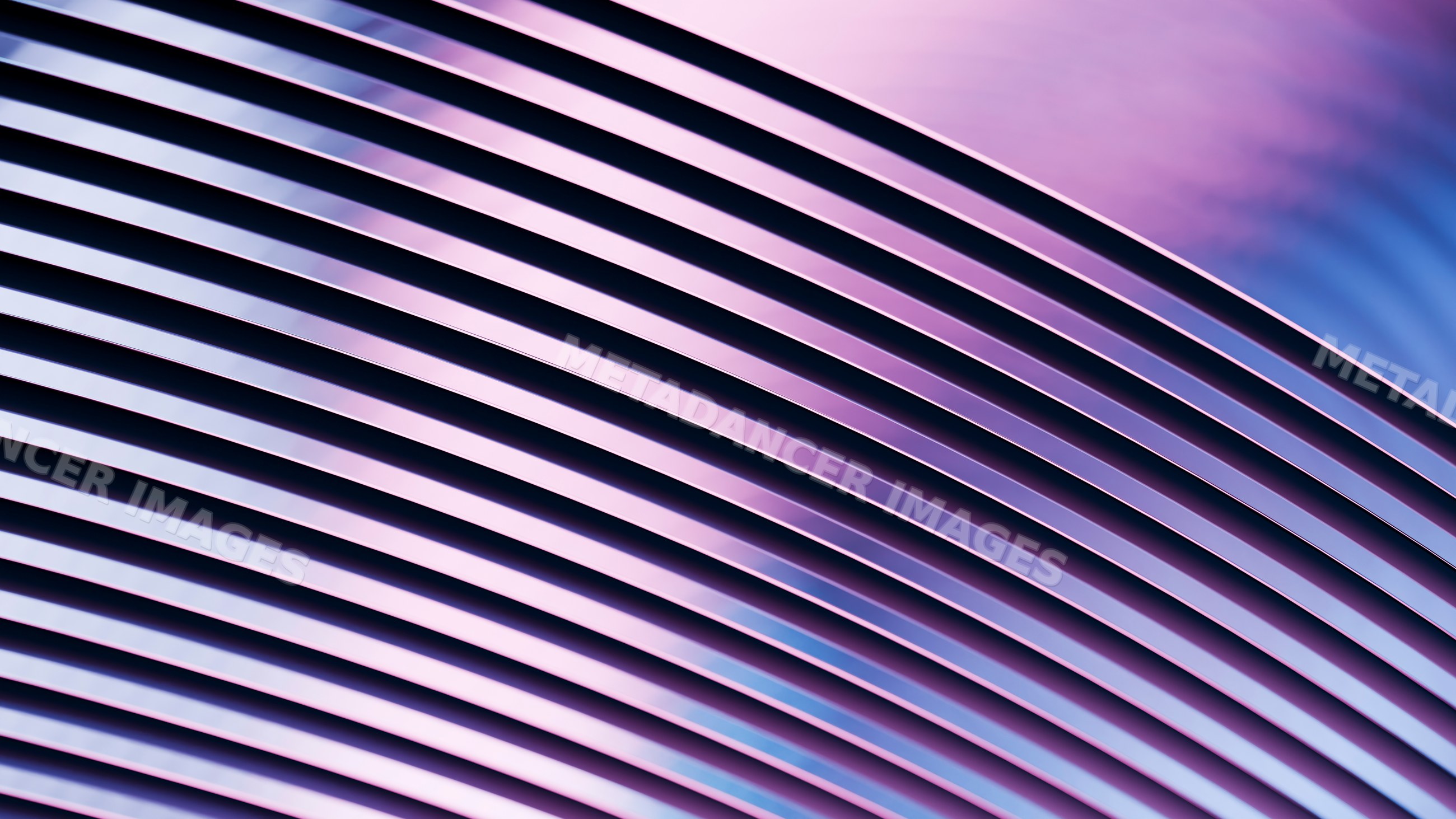 Abstract curved metallic lines in purple and pink gradient
