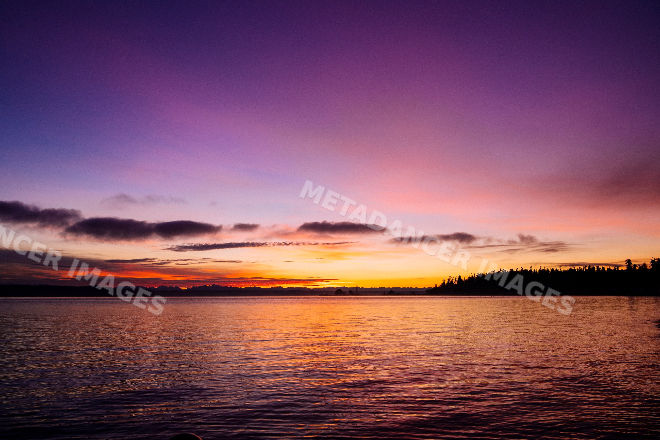 Sunset over water with tree silhouettes at Norwegian Point, washington