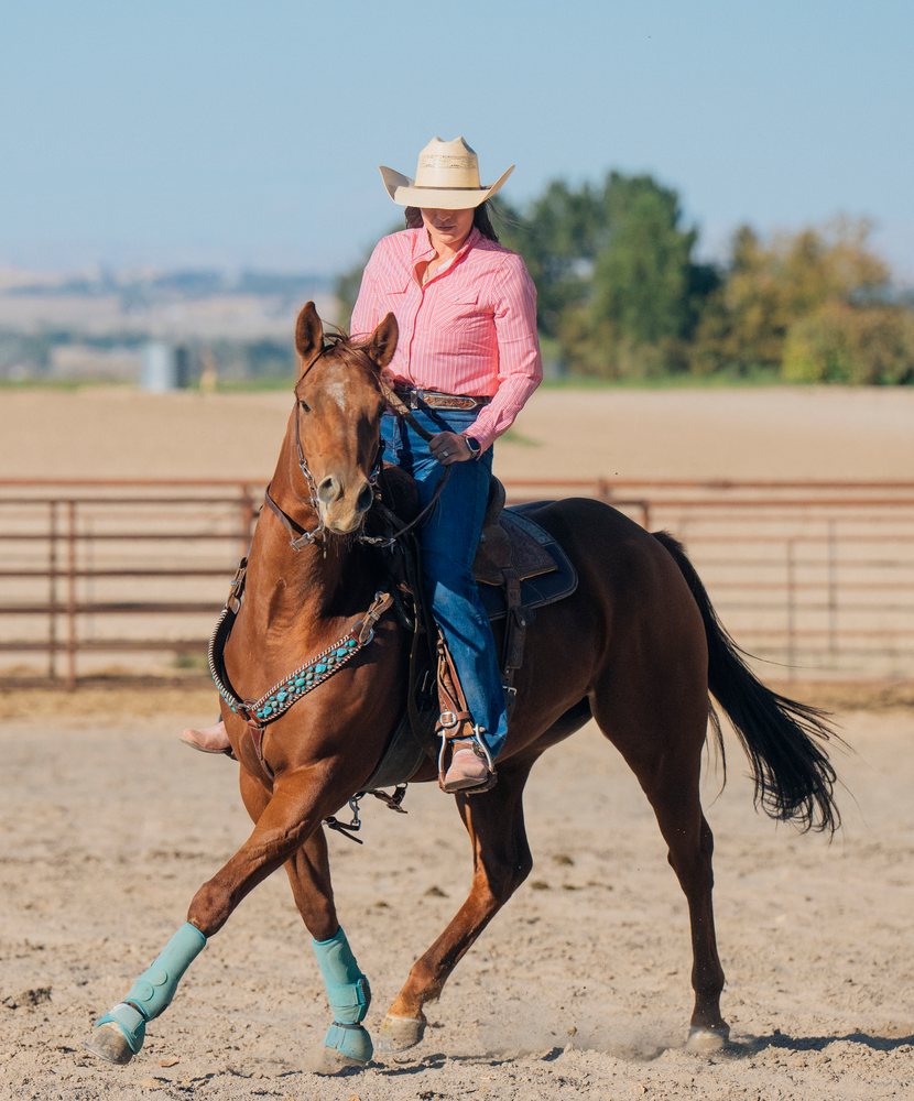 White woman riding horse in outdoor arena with western attire