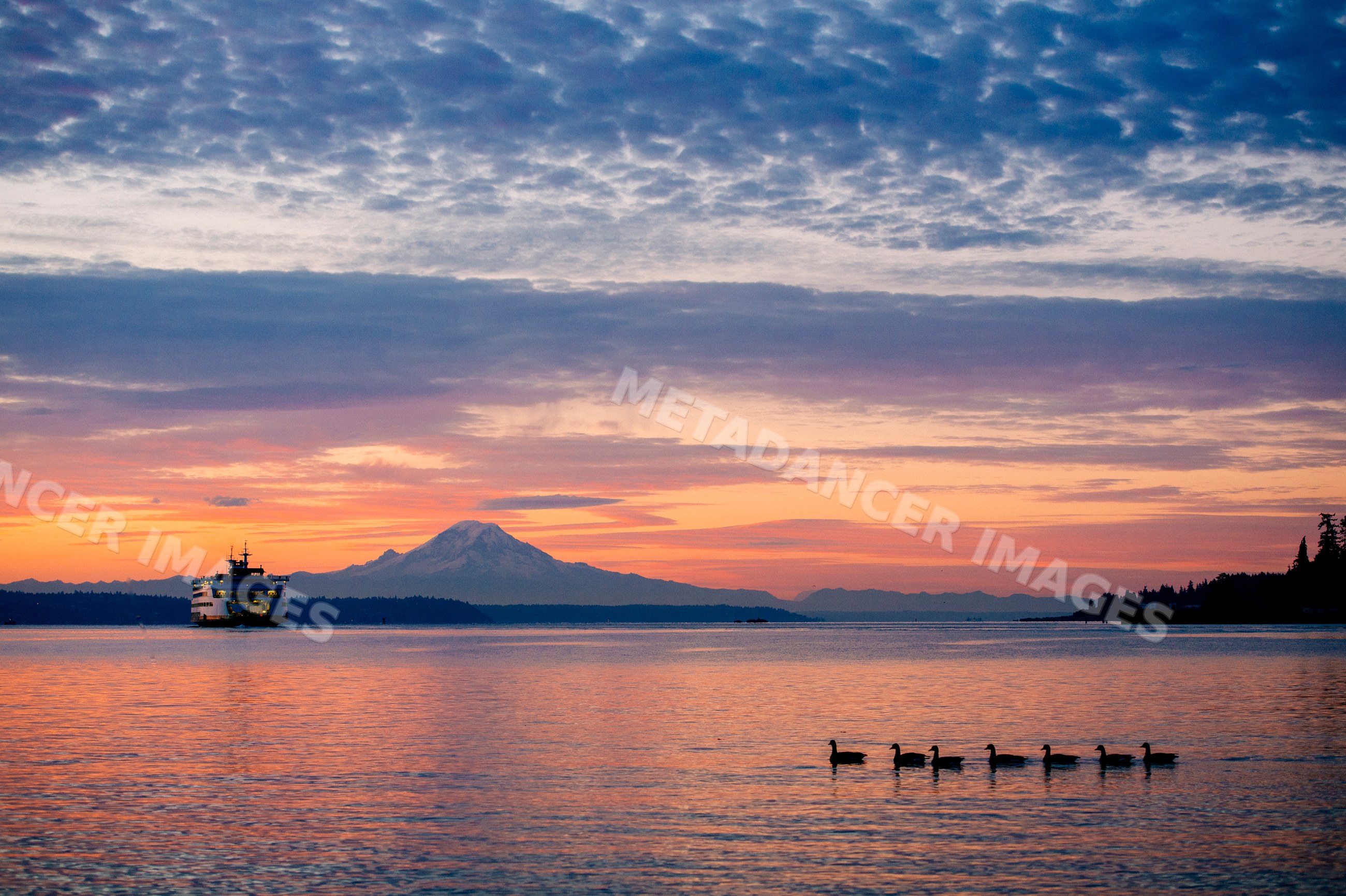 Sunset over water with mount rainier, ferry