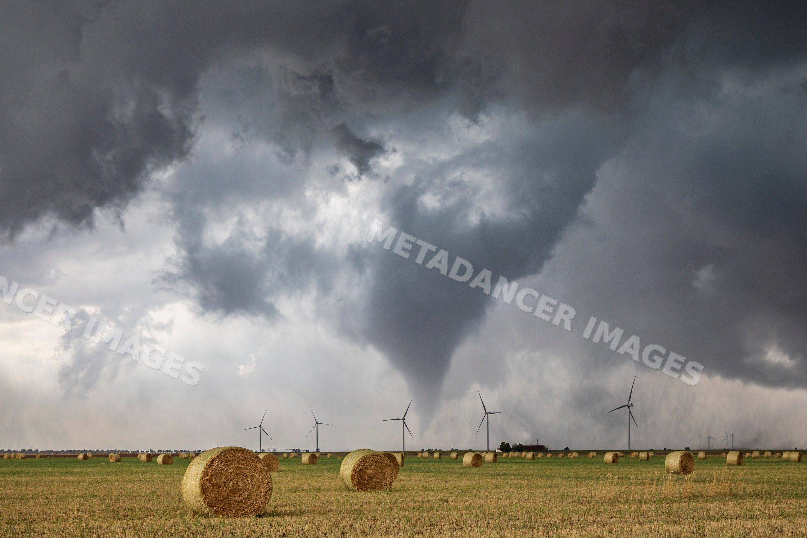 Tornado touching down in a field with hay bales and wind turbines