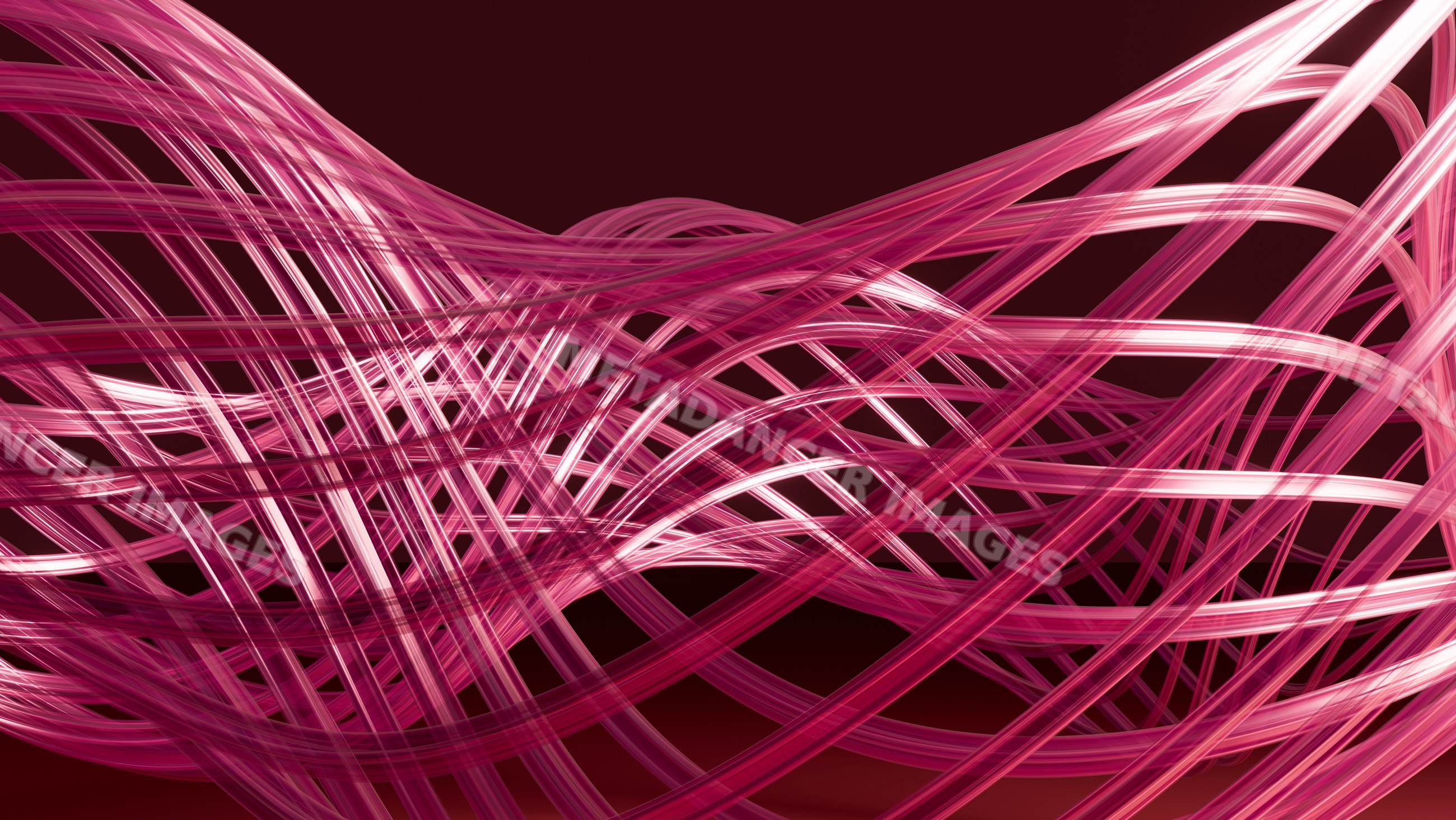 Abstract flowing pink curved lines on dark background