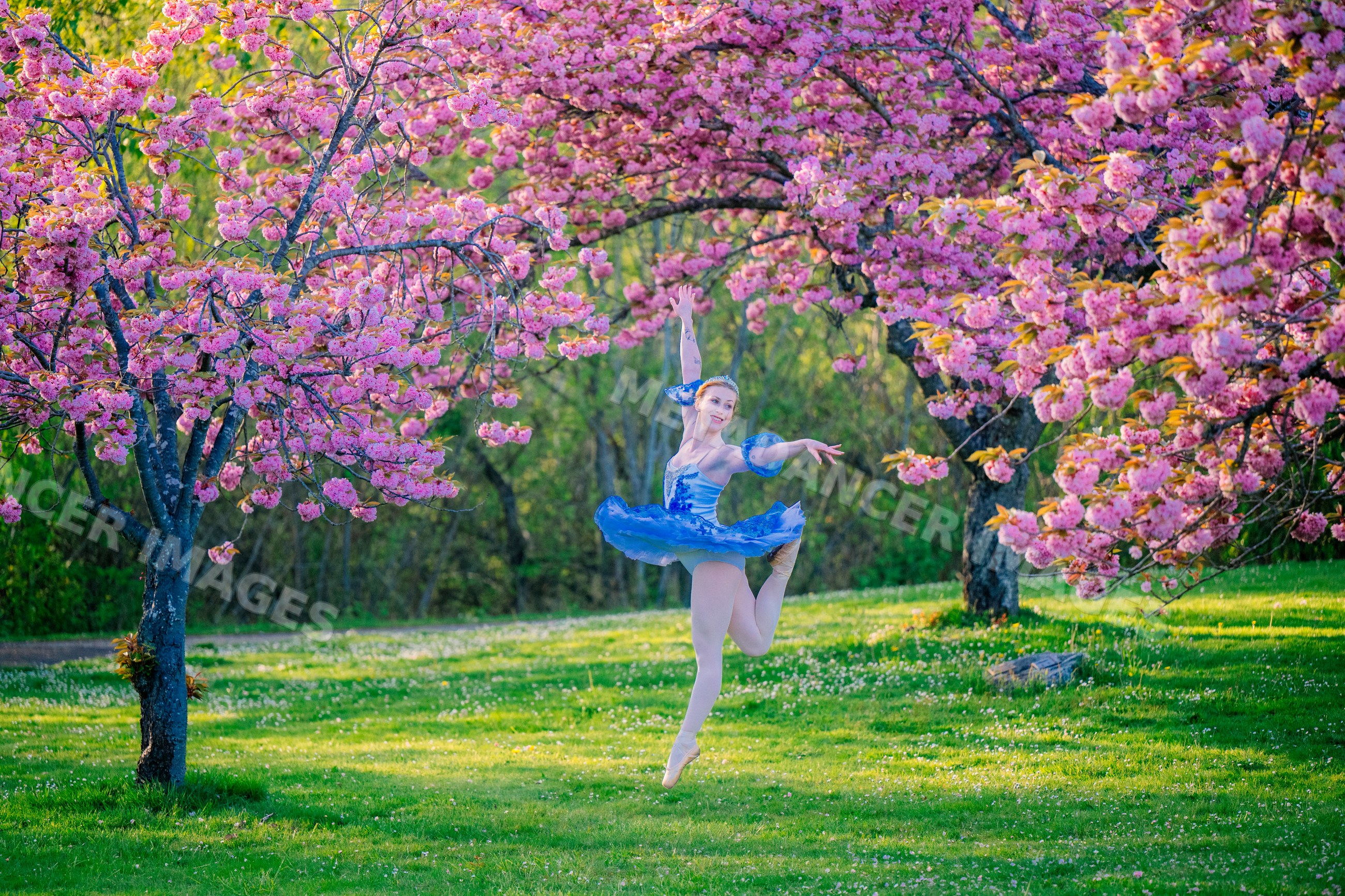 A ballet dancer leaps gracefully outdoors