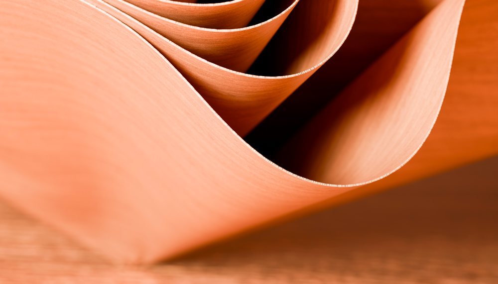 Thin curved wood veneer sheets showing natural texture and grain
