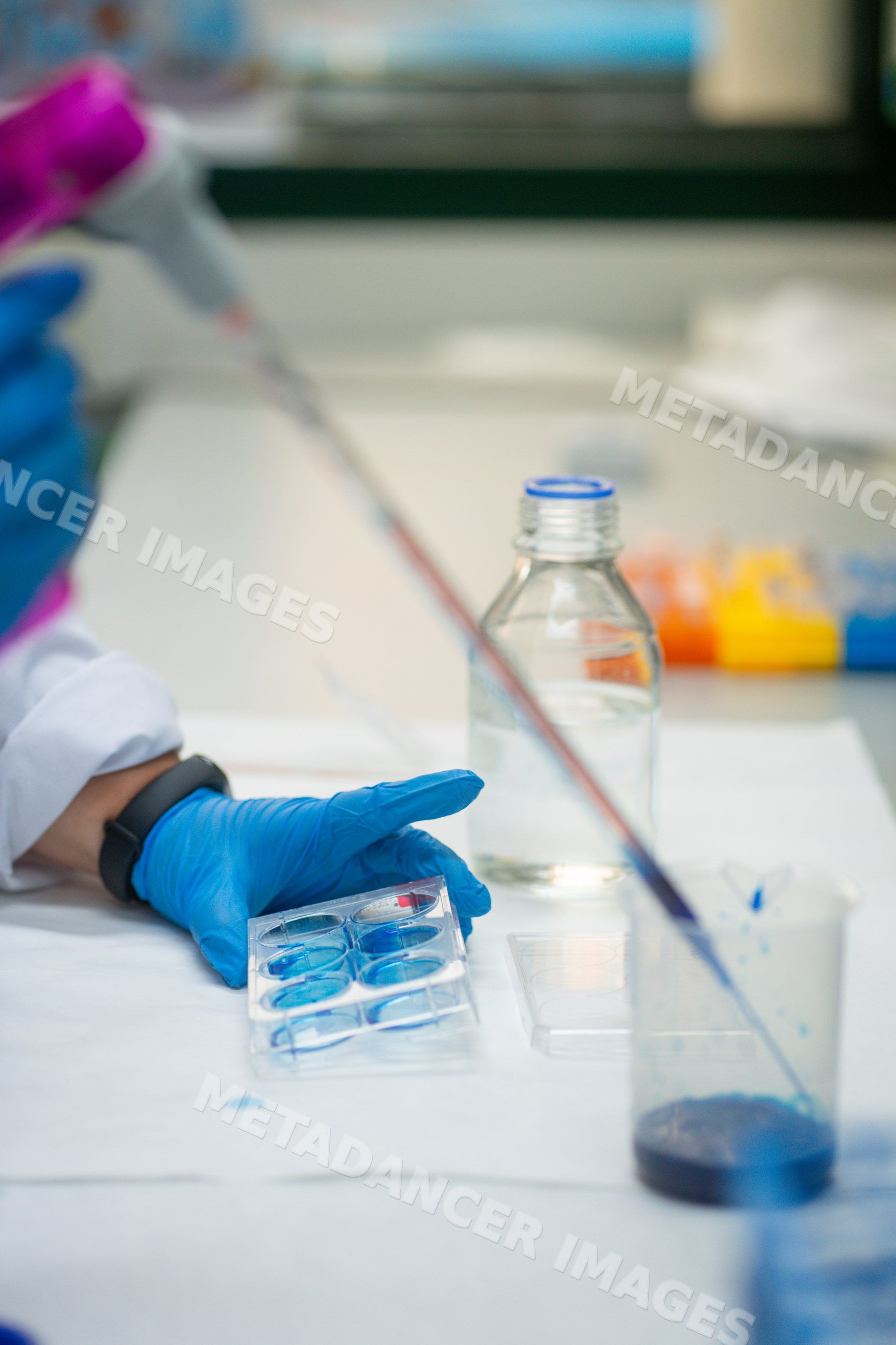 Scientist transferring blue liquid with pipette in research laboratory