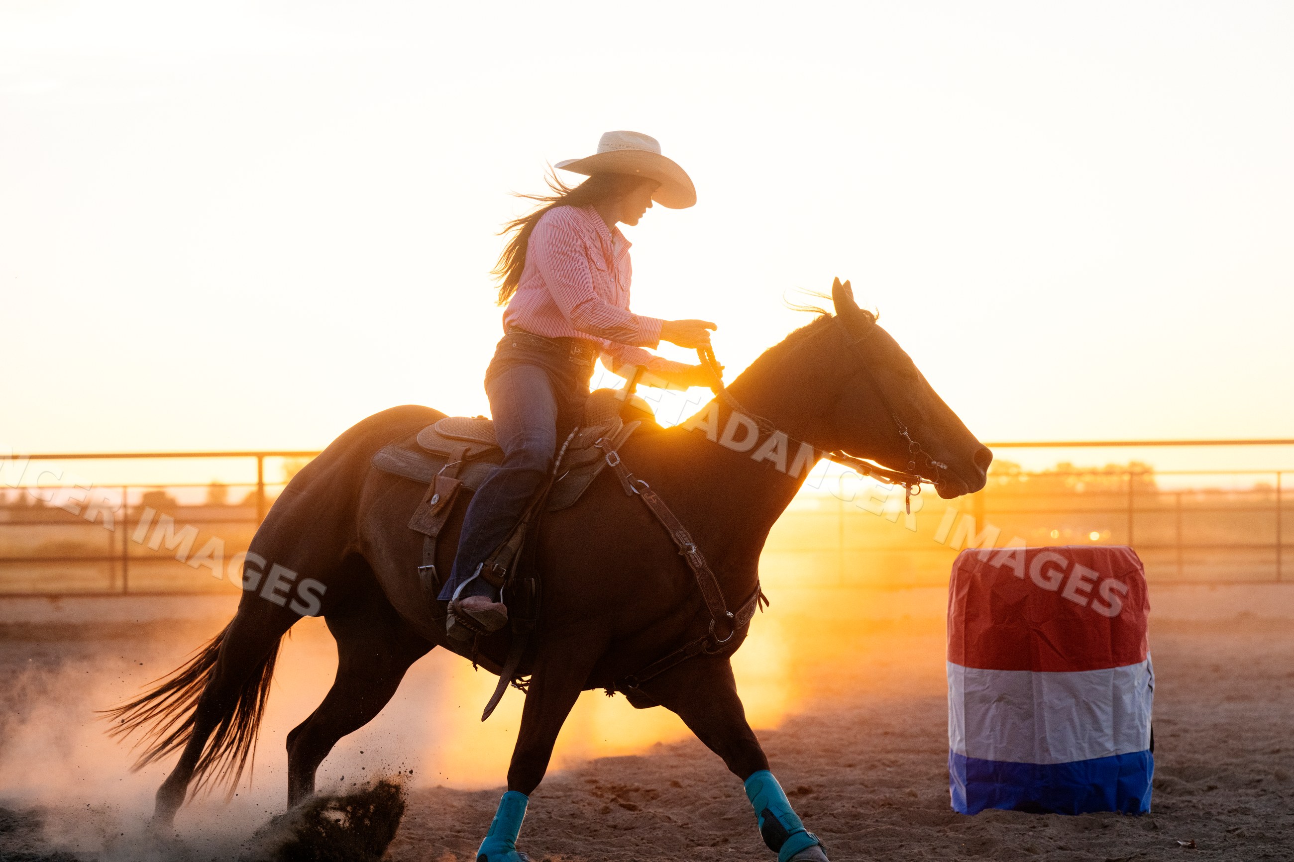 Cowgirl riding horse in rode arena at sunset