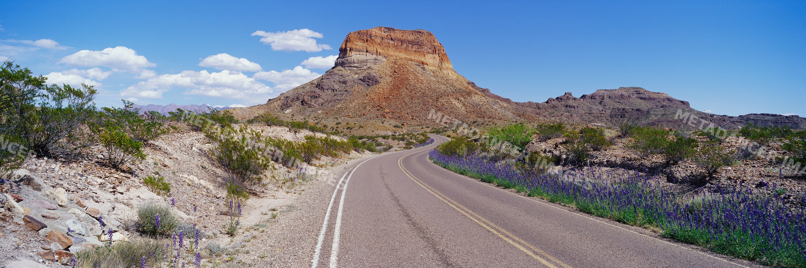 Desert road winding through arid landscape with mountain under blue