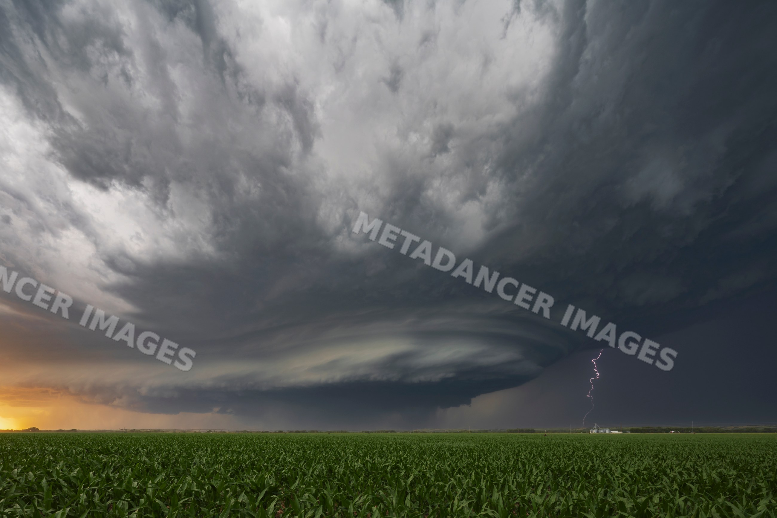 Supercell storm with sculpted base and lightning over corn field