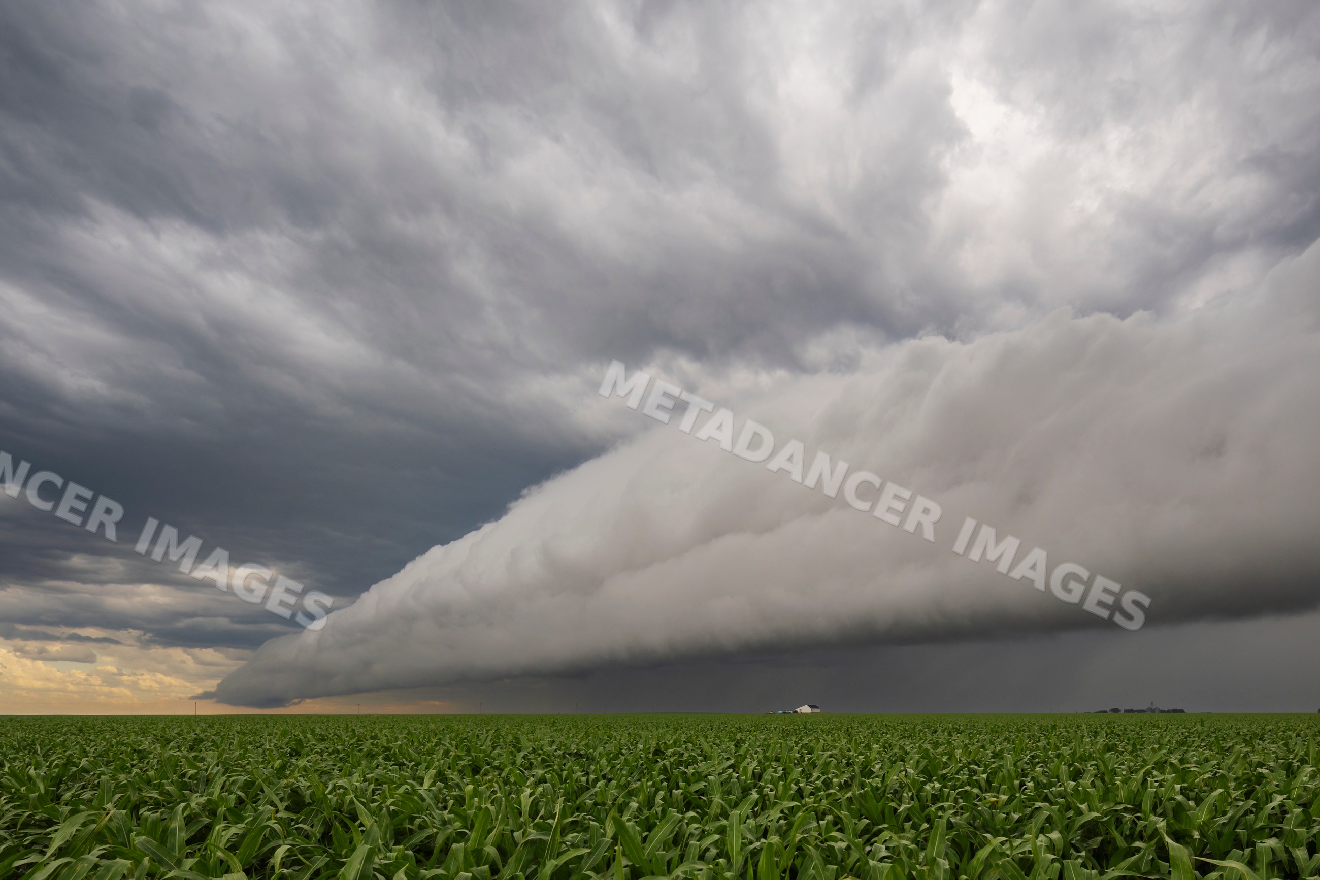 Roll cloud forming over a Corn field in funk, nebraska