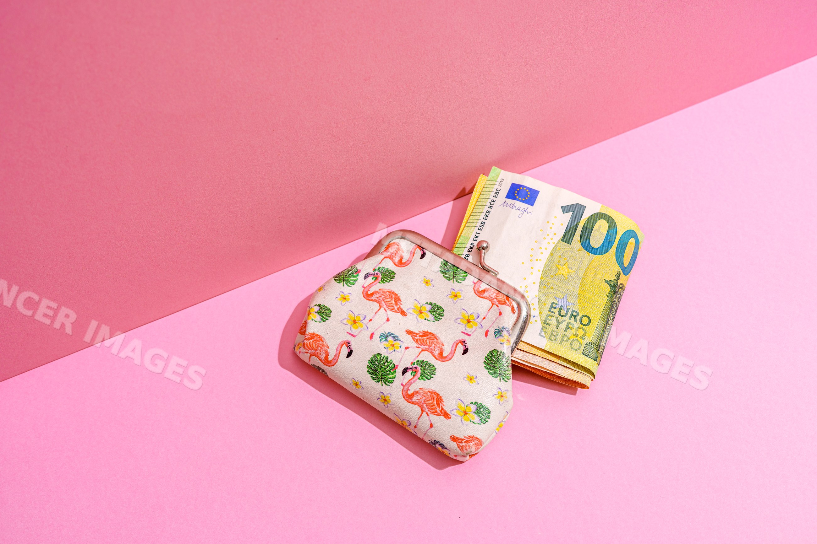Coin purse containing 100 euro notes on pink studio background
