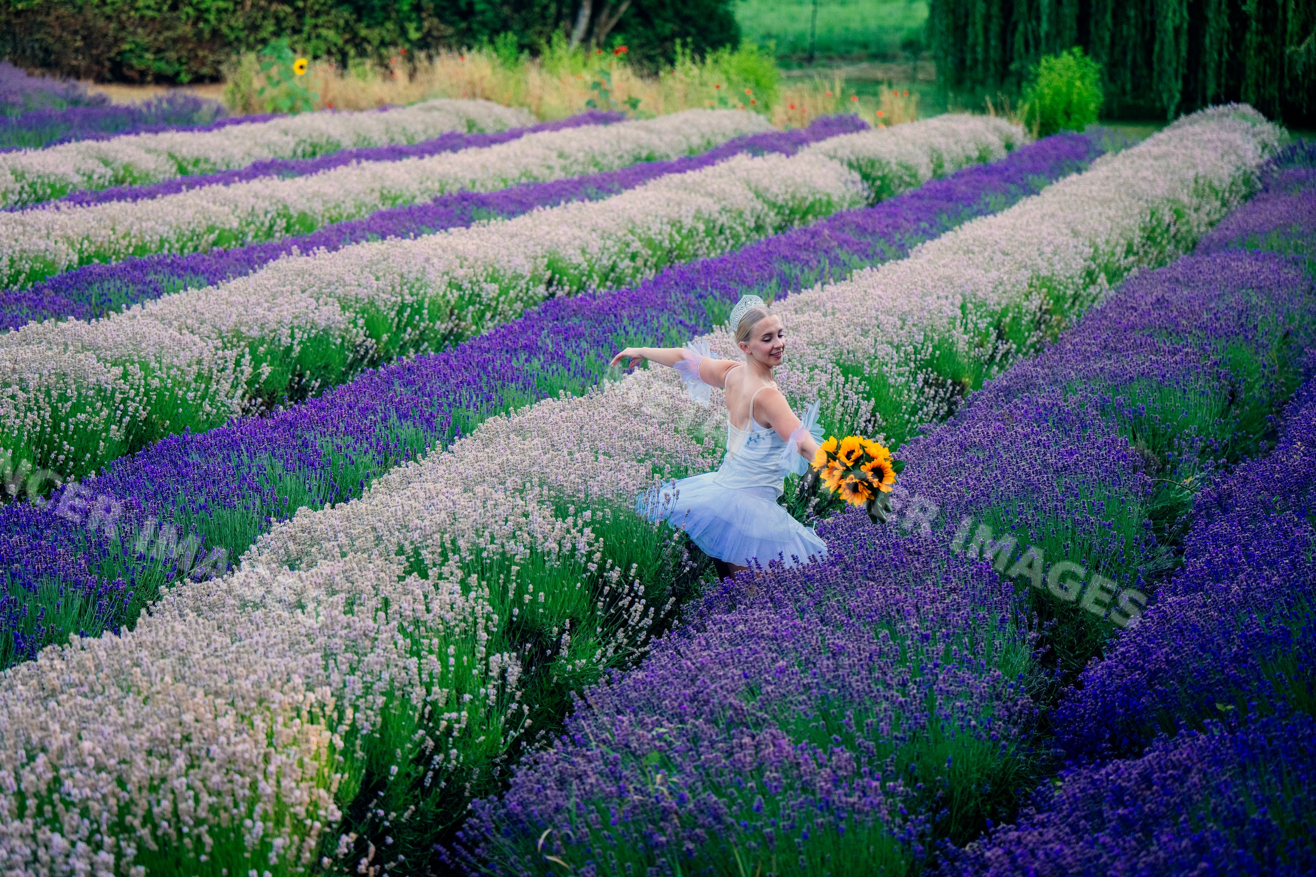 A ballet white dancer with a sunflower bouquet dances