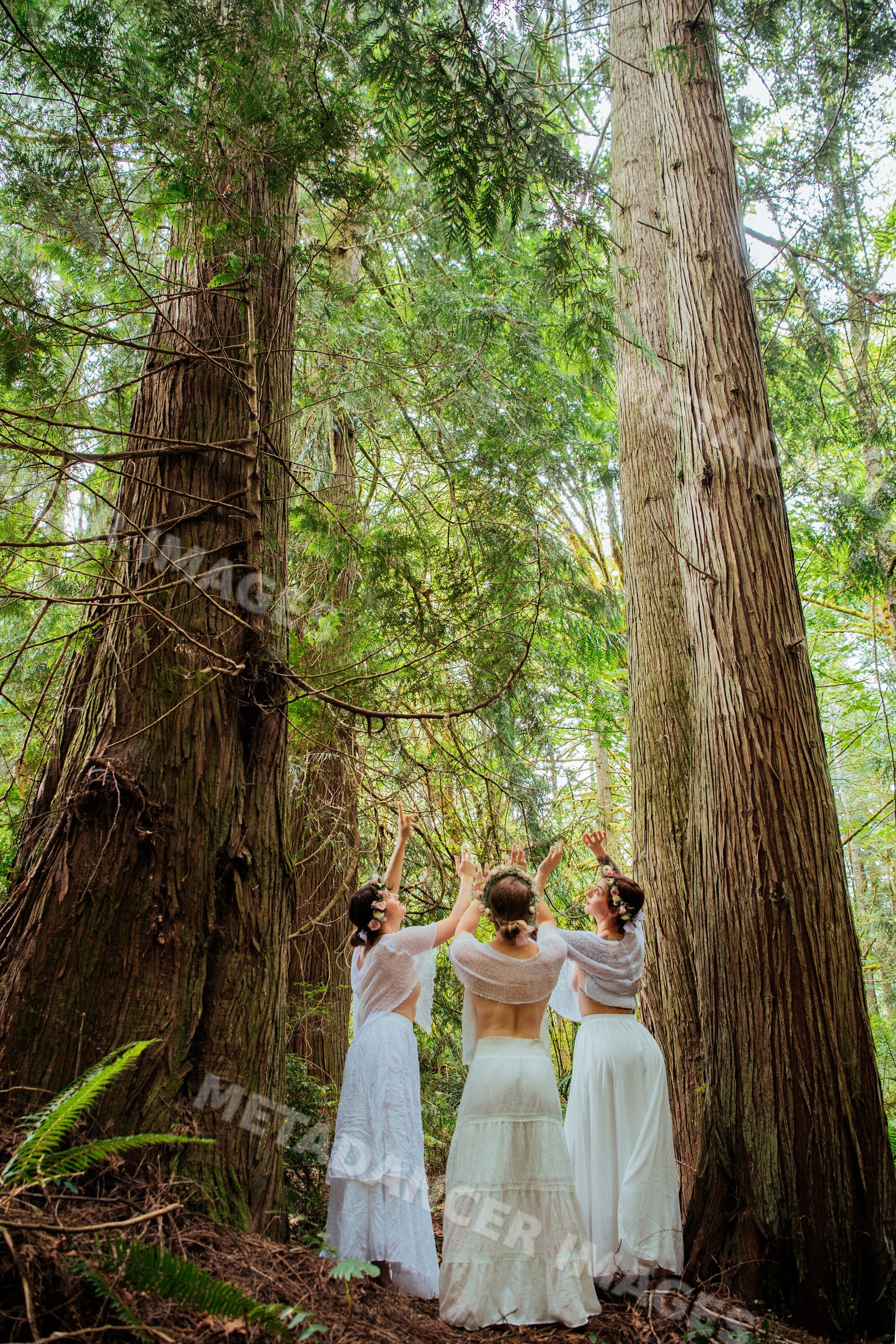 White women celebrating with flower crowns in forest with tall trees