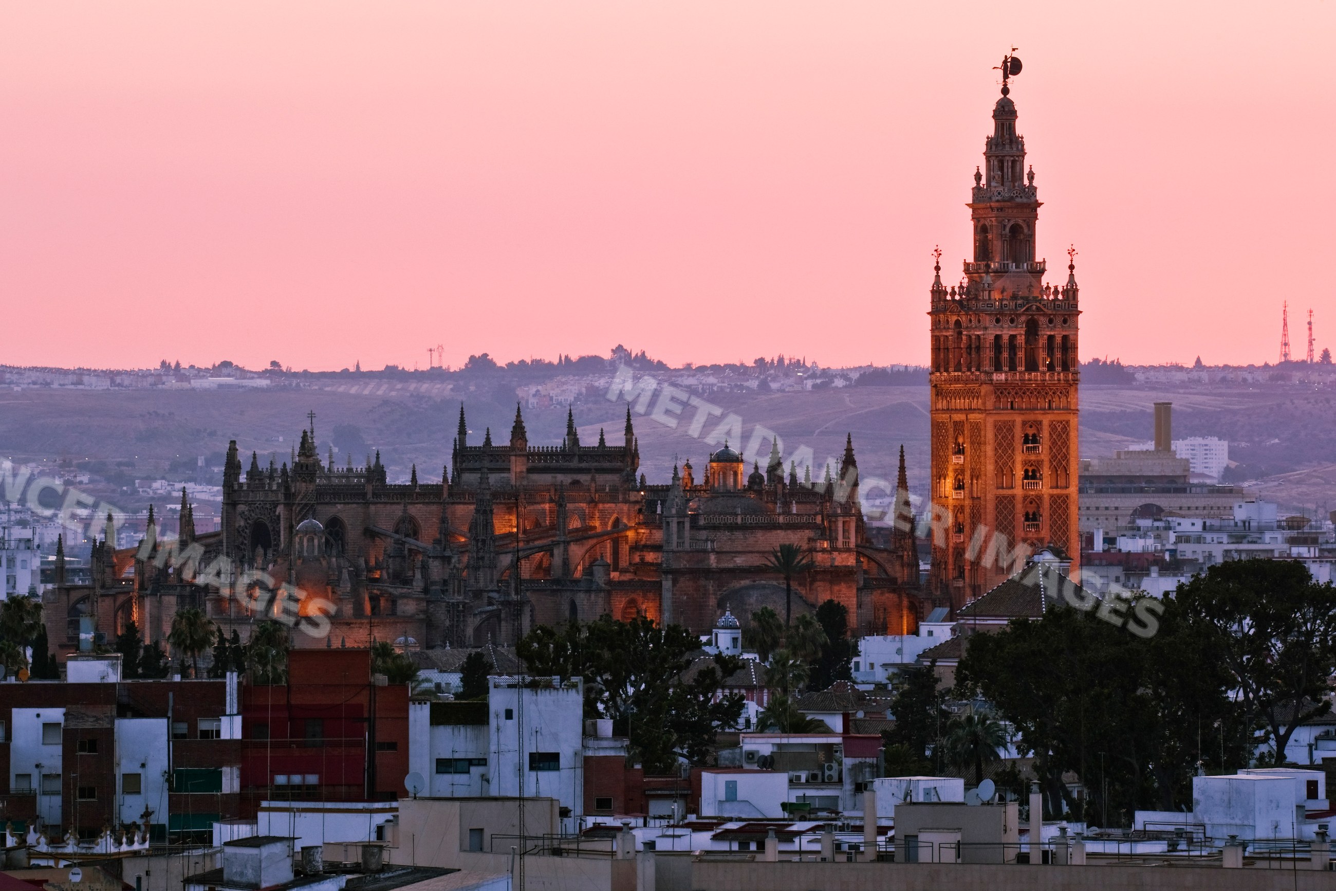 Seville cathedral and la giralda tower at sunset Spain