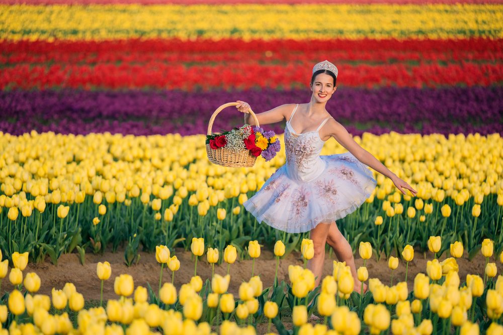 Ballet white dancer performing