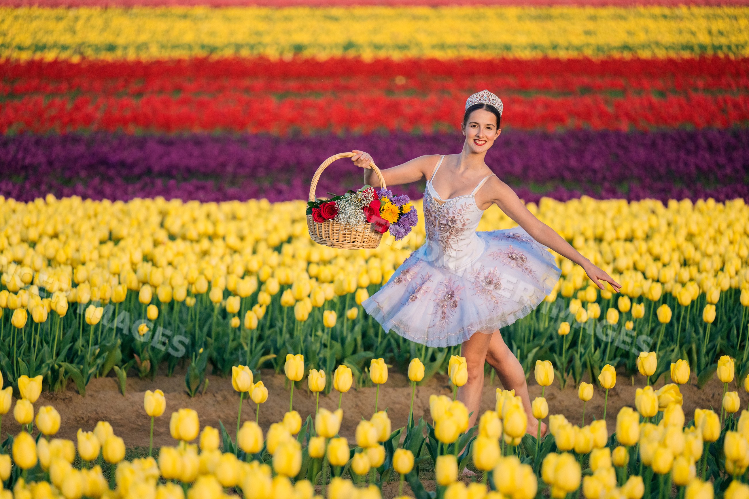 Ballet white dancer performing