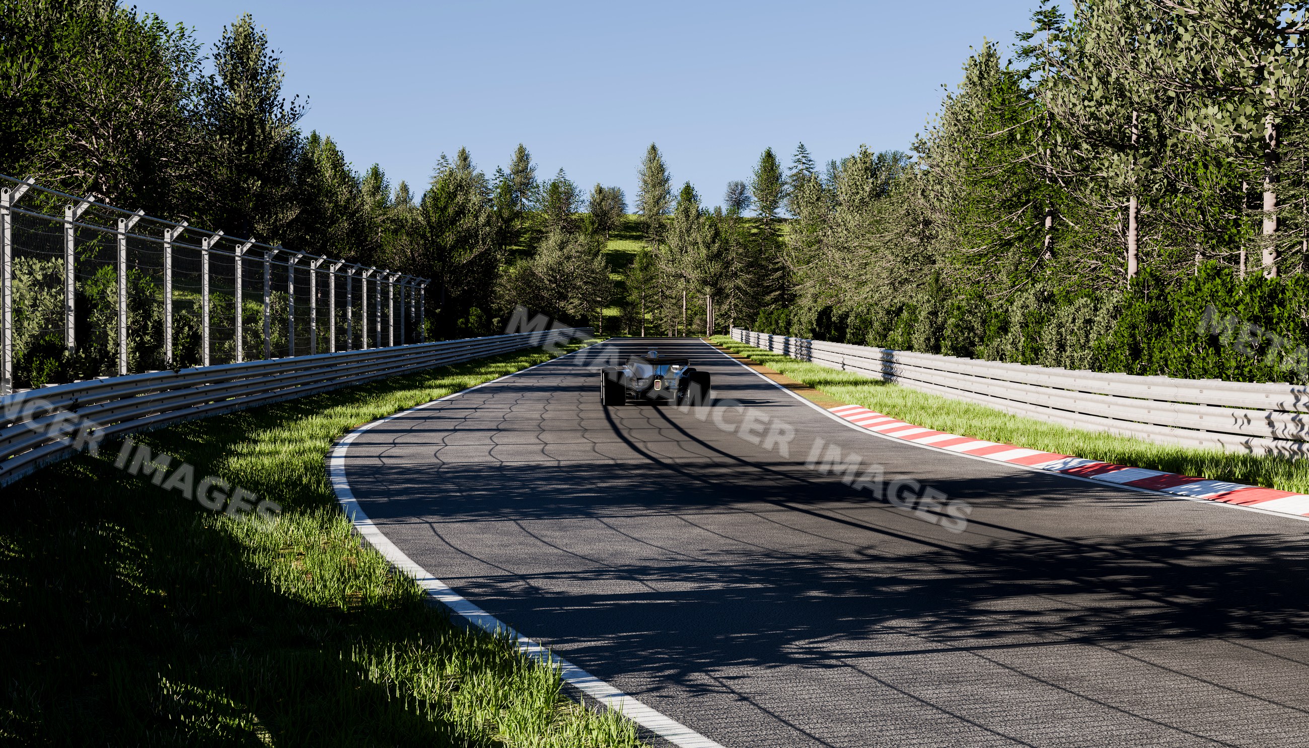 Race car driving down a forest-lined curved racetrack on a sunny day