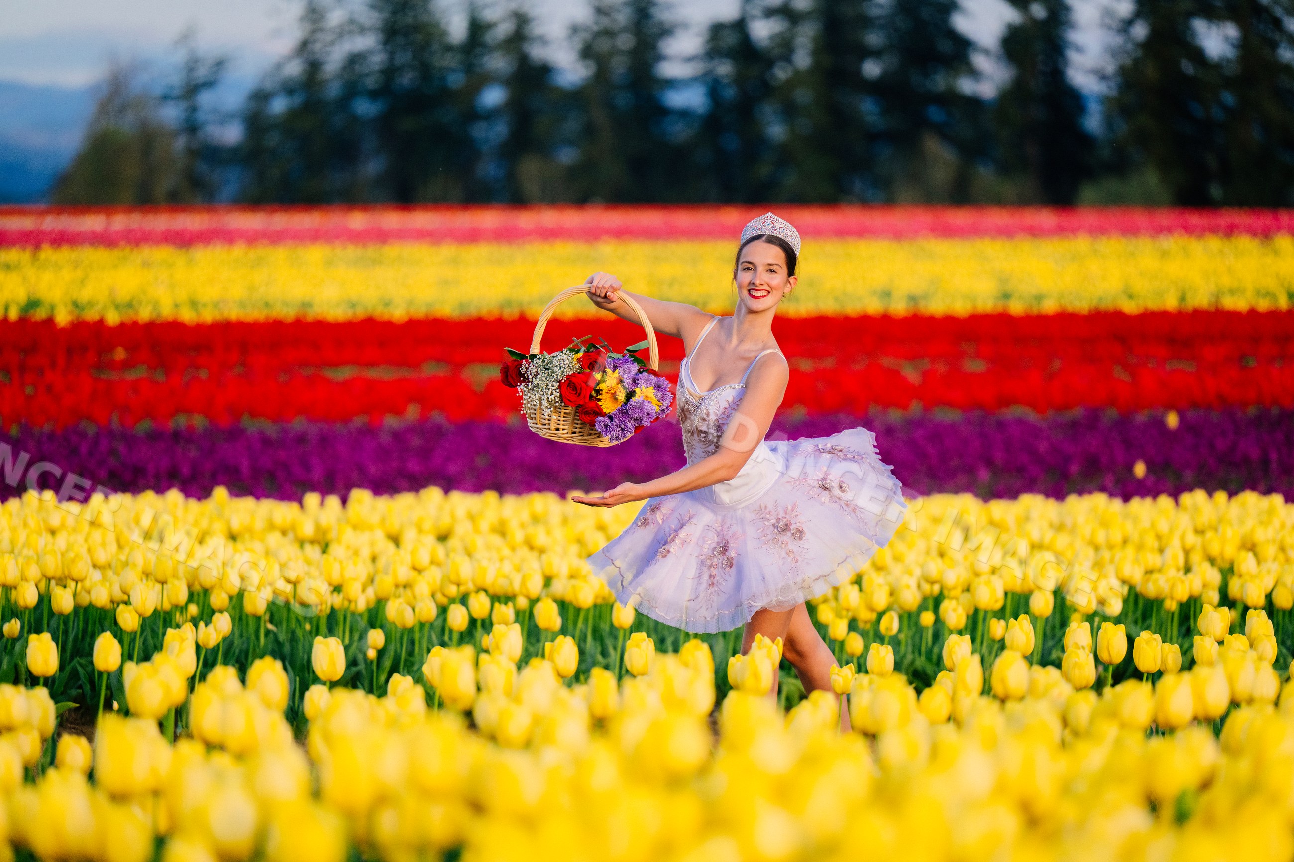 Ballet white dancer posing with flower basket in colorful tulip field