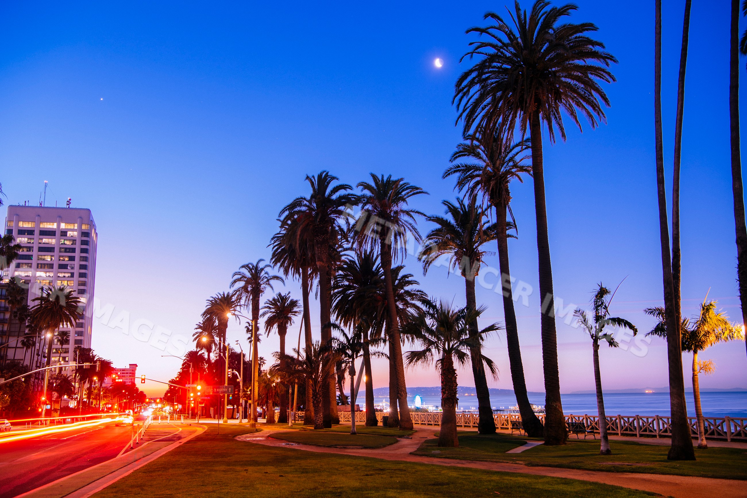 Palm trees along coastal walkway at dusk in Santa Monica