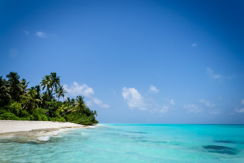 Tropical beach with palm trees and clear turquoise water in a beach