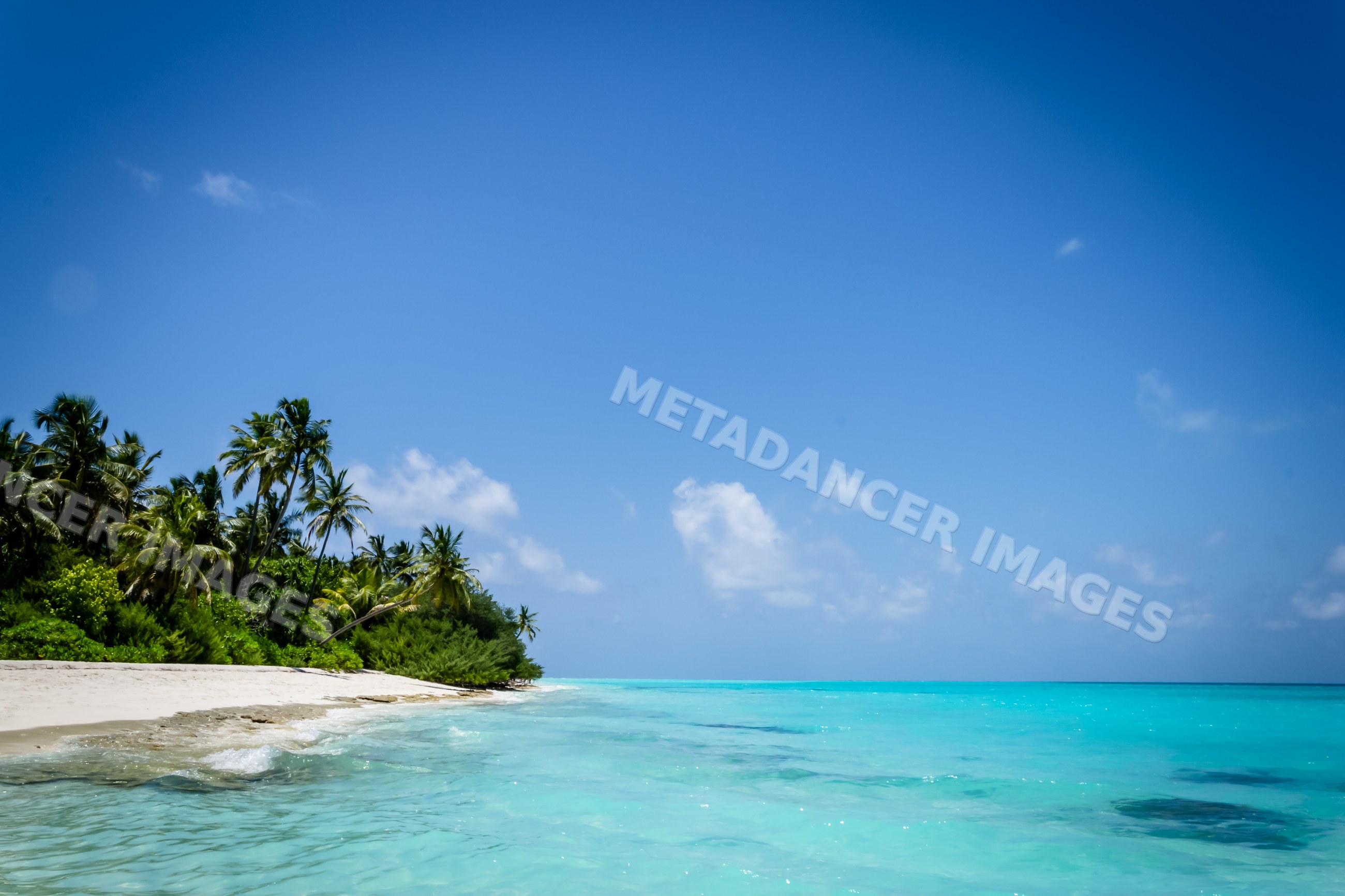 Tropical beach with palm trees and clear turquoise water in a beach