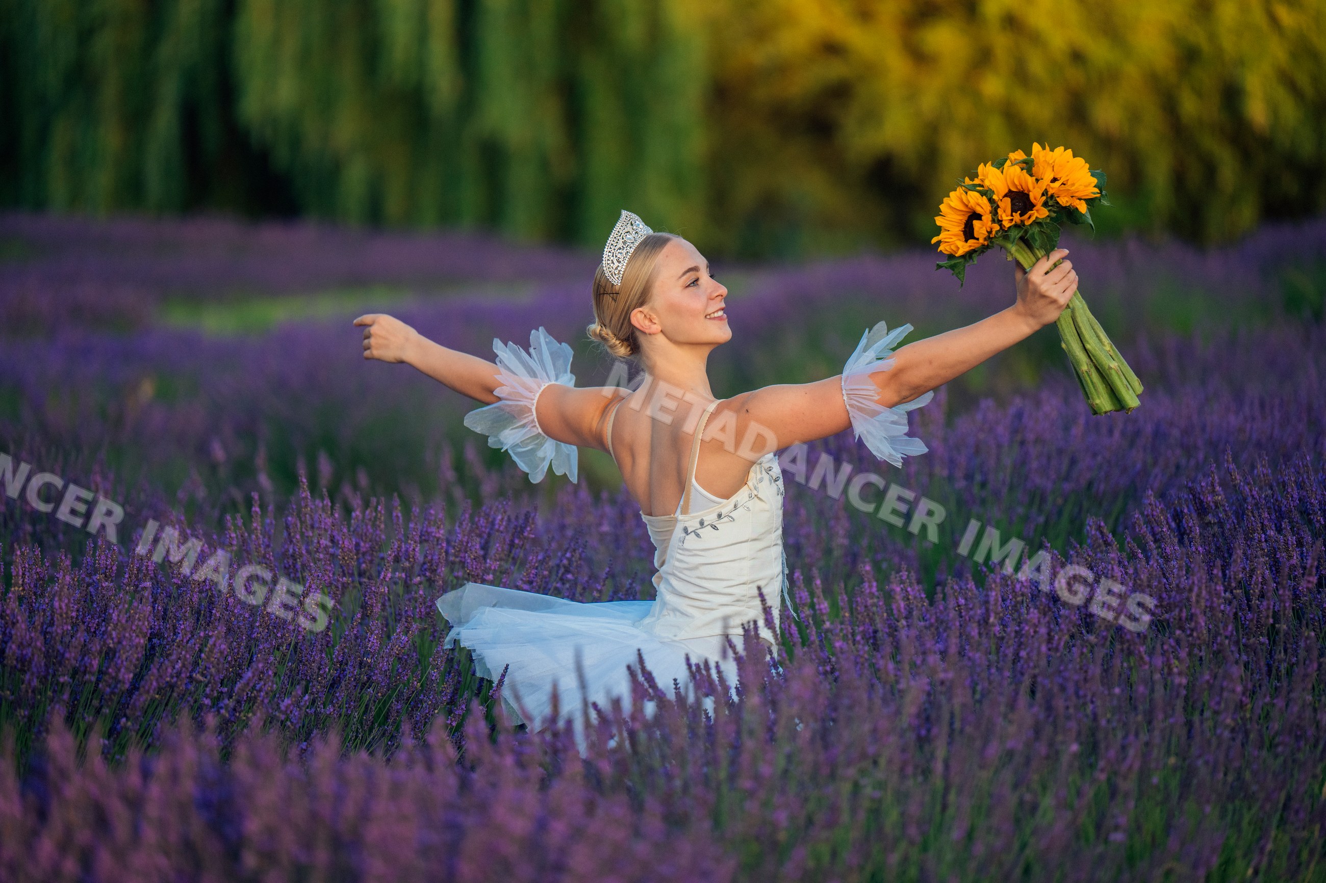 A ballet white dancer gracefully holds sunflowers in a lavender field
