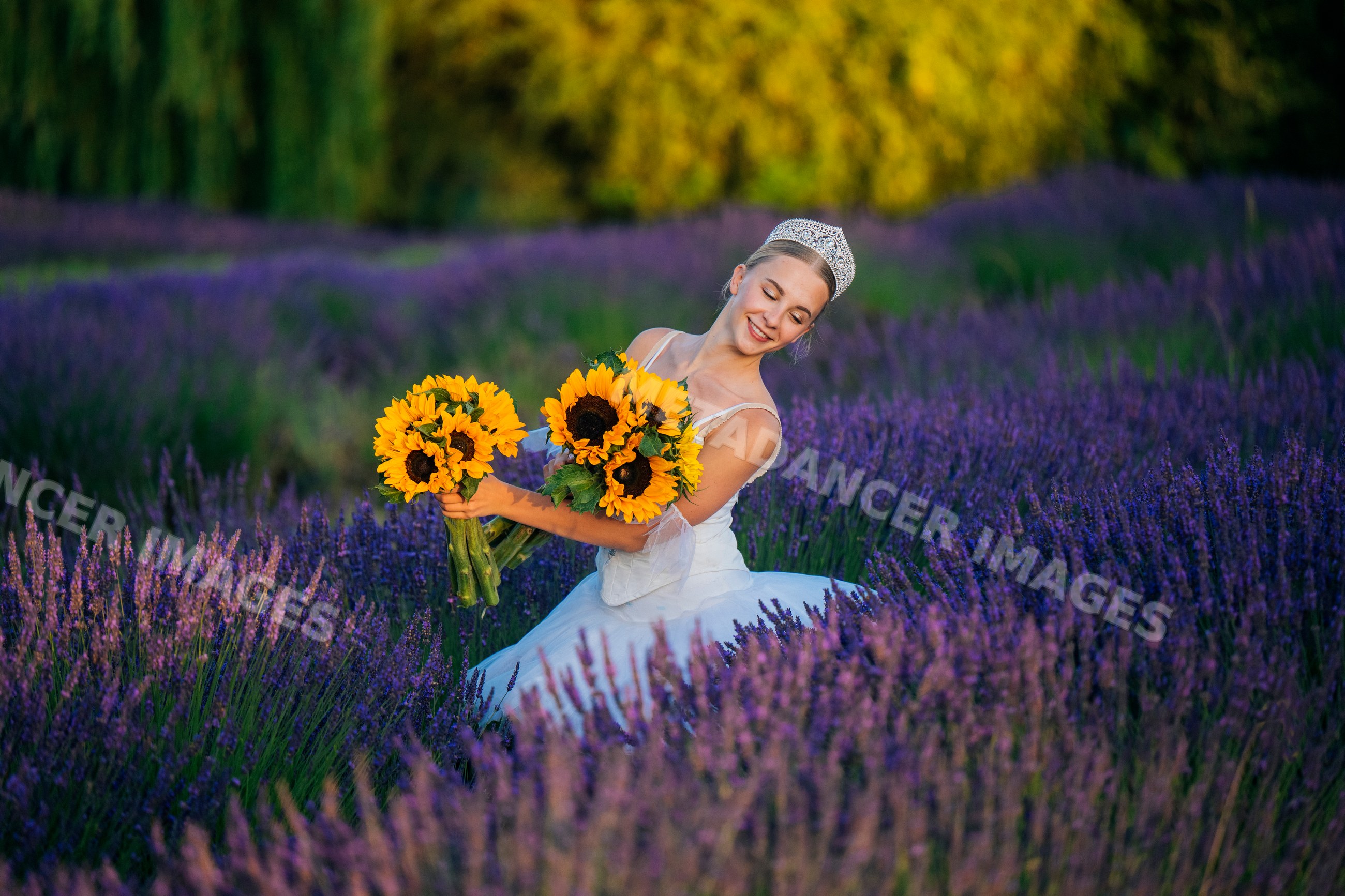 A woman in white holding sunflower bouquets in a lavender field