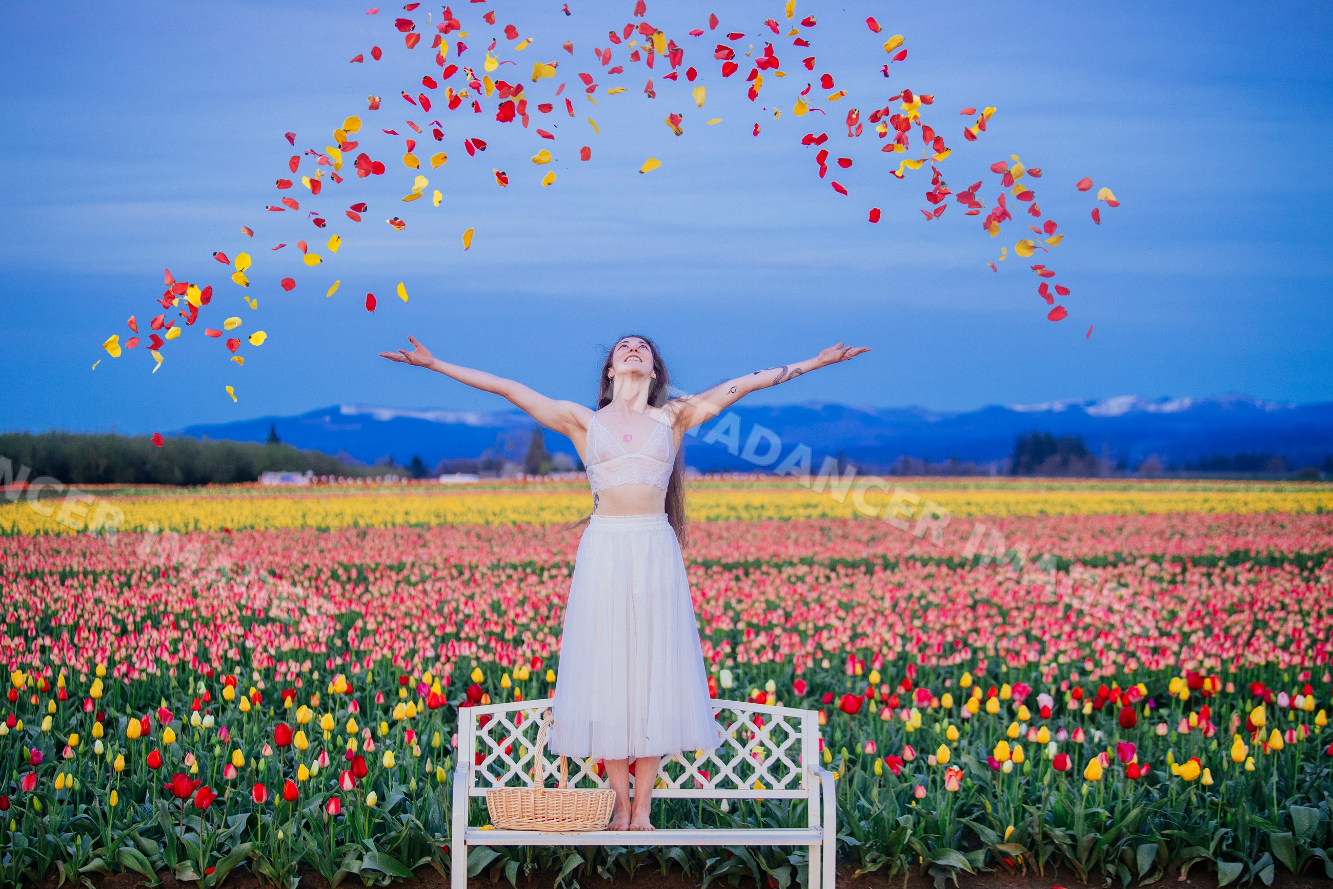 White woman throwing flower petals in vibrant tulip field USA