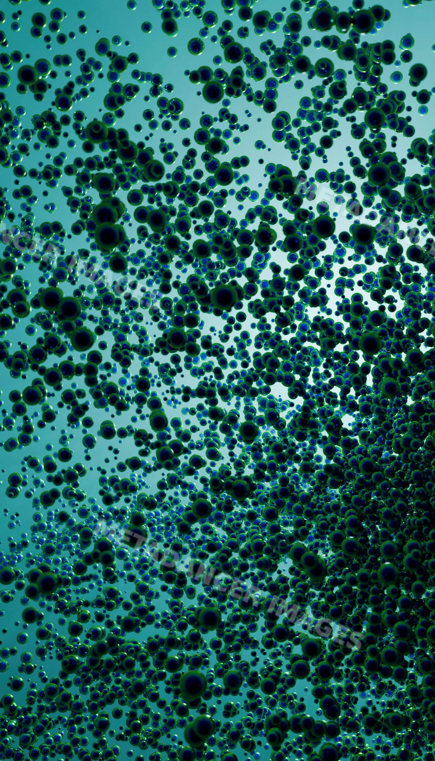 Cluster of floating Black and blue spheres in liquid