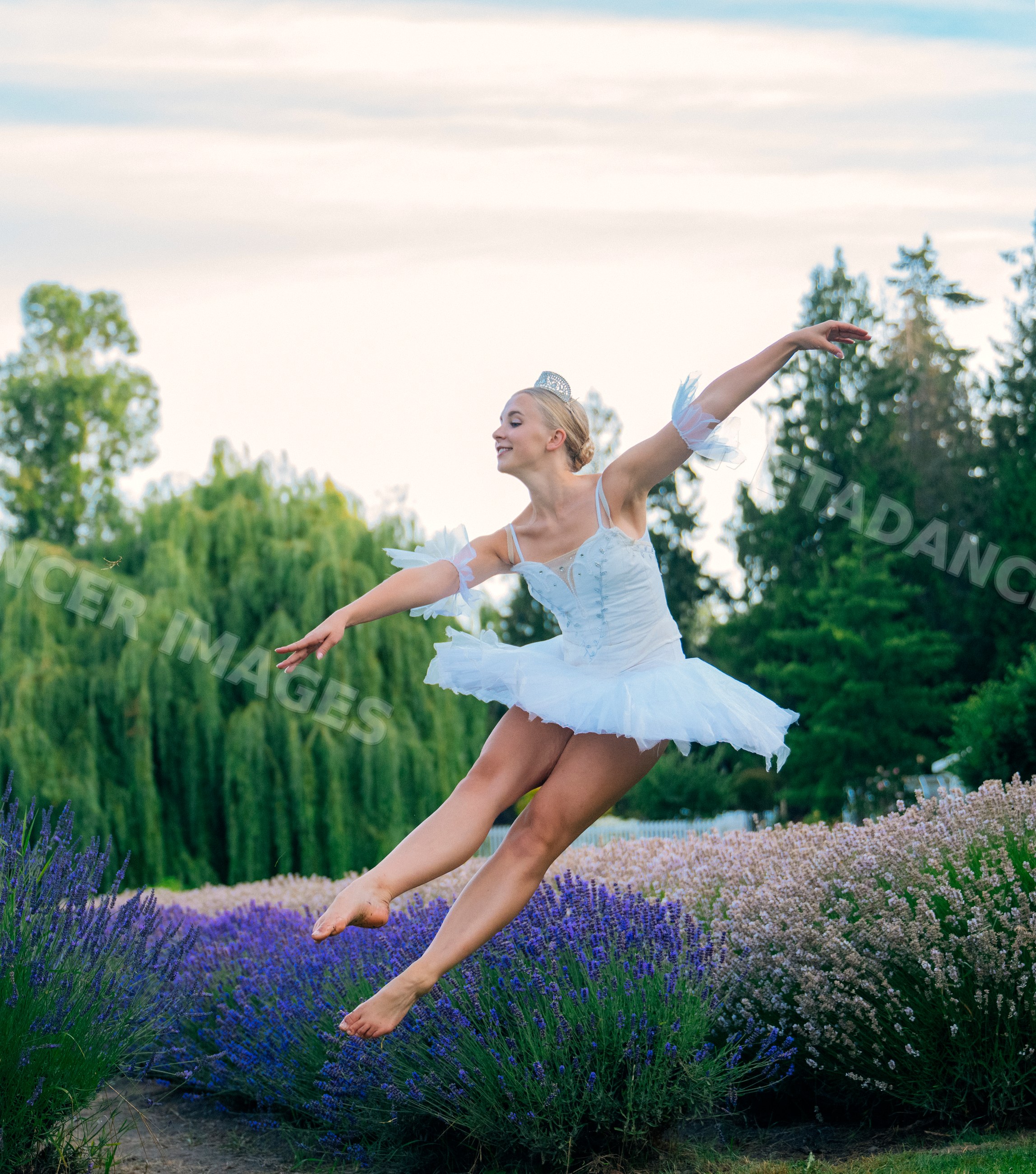 A ballerina leaps gracefully outdoors over a lavender field