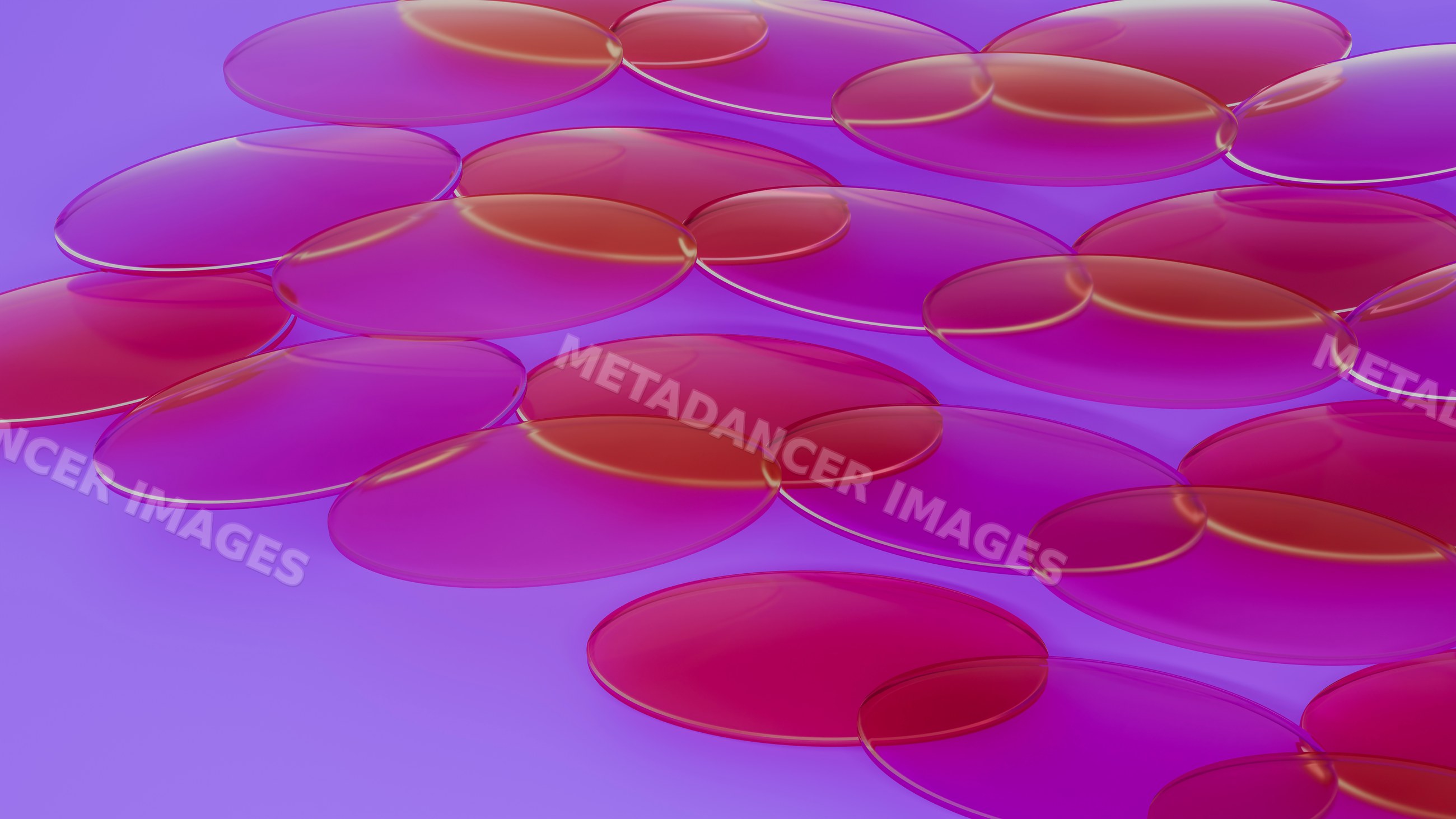 Close-up of red blood cells clustered in fluid environment