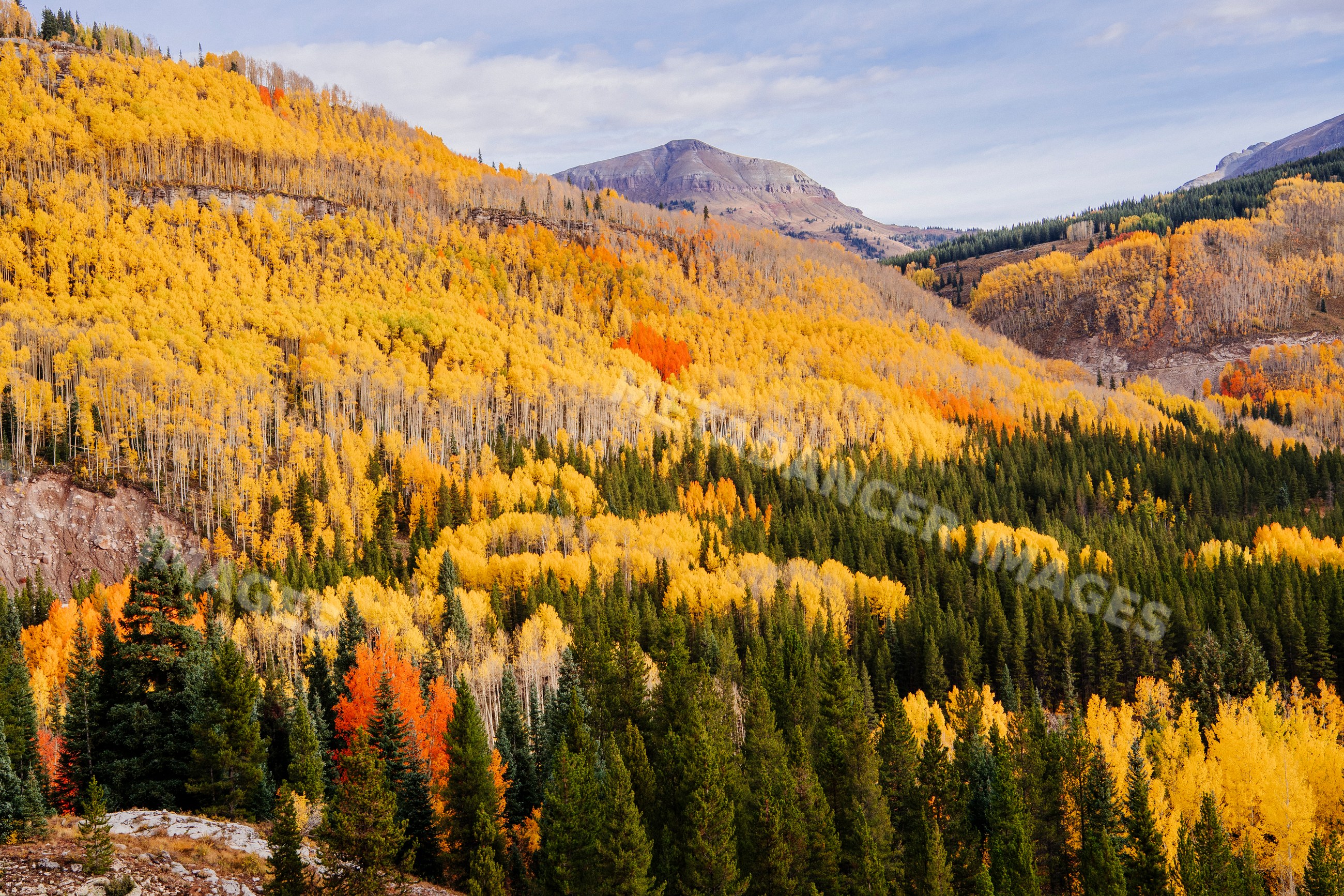 Mountain hillside with vibrant fall colors near Durango Colorado