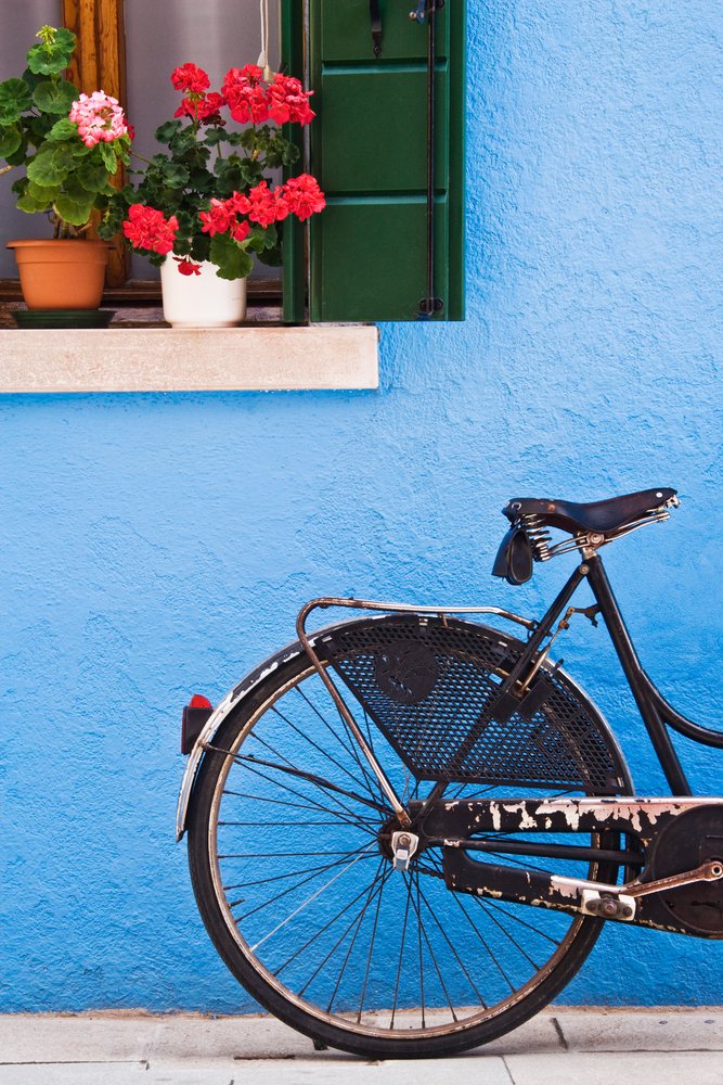 Bicycle under window sill with potted flowers against blue wall