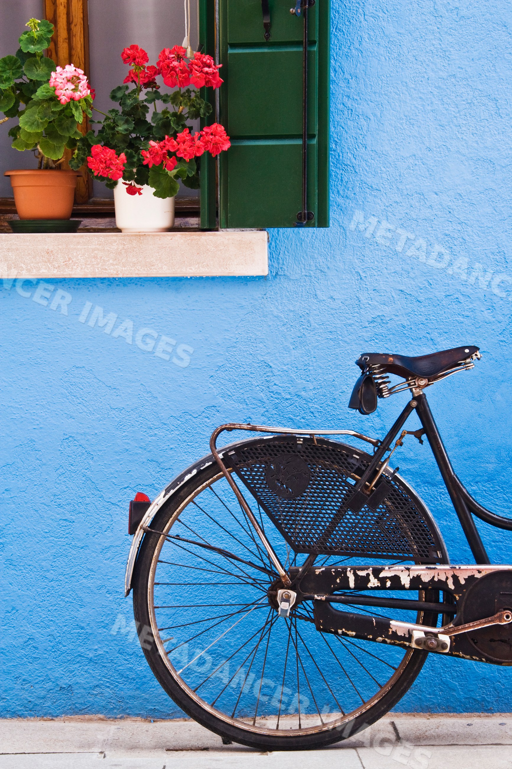 Bicycle under window sill with potted flowers against blue wall