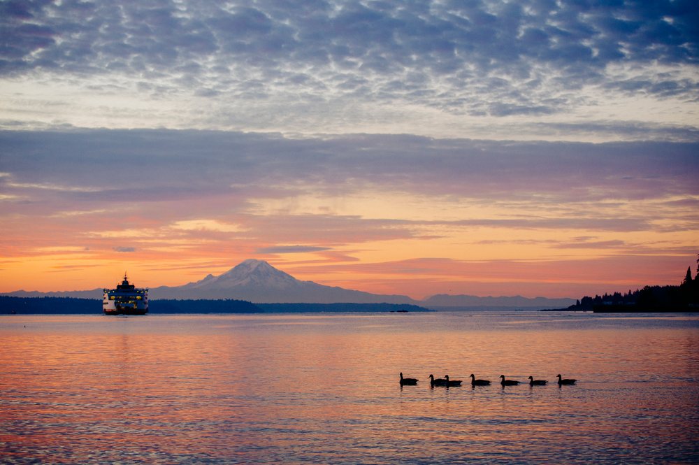 Sunset over water with ferry, birds, and mount rainier