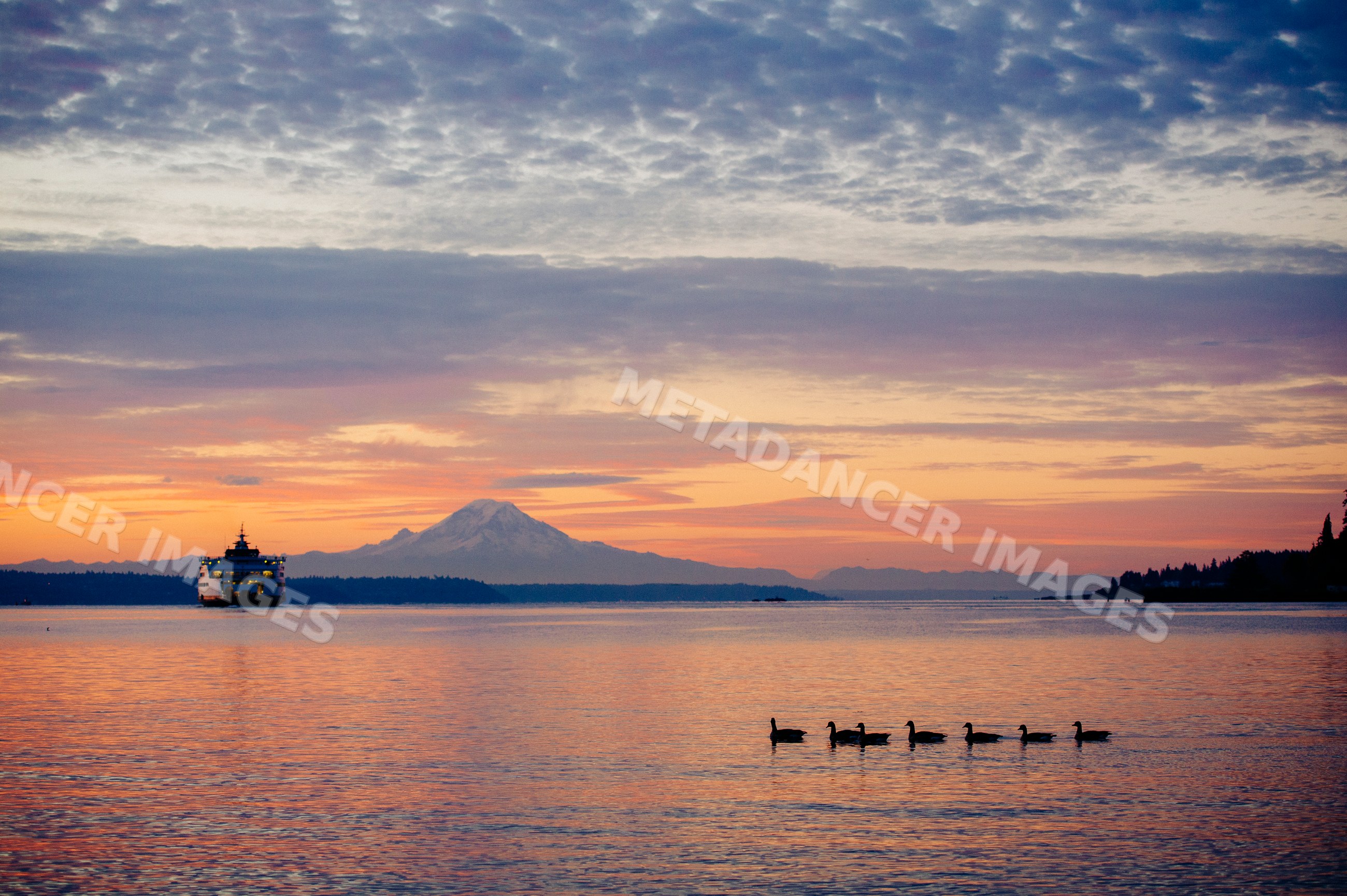 Sunset over water with ferry, birds, and mount rainier