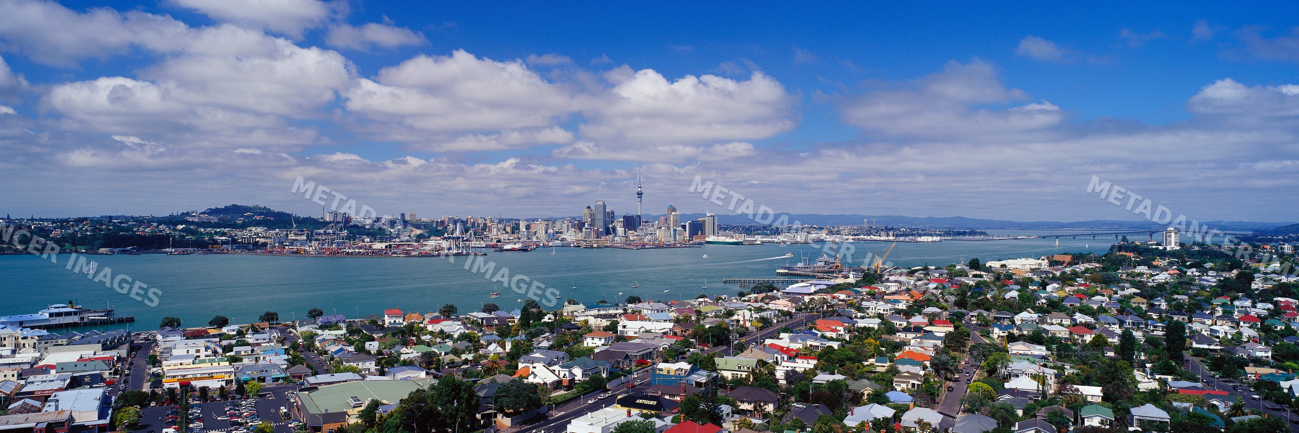 Auckland cityscape and harbor viewed from mount victoria