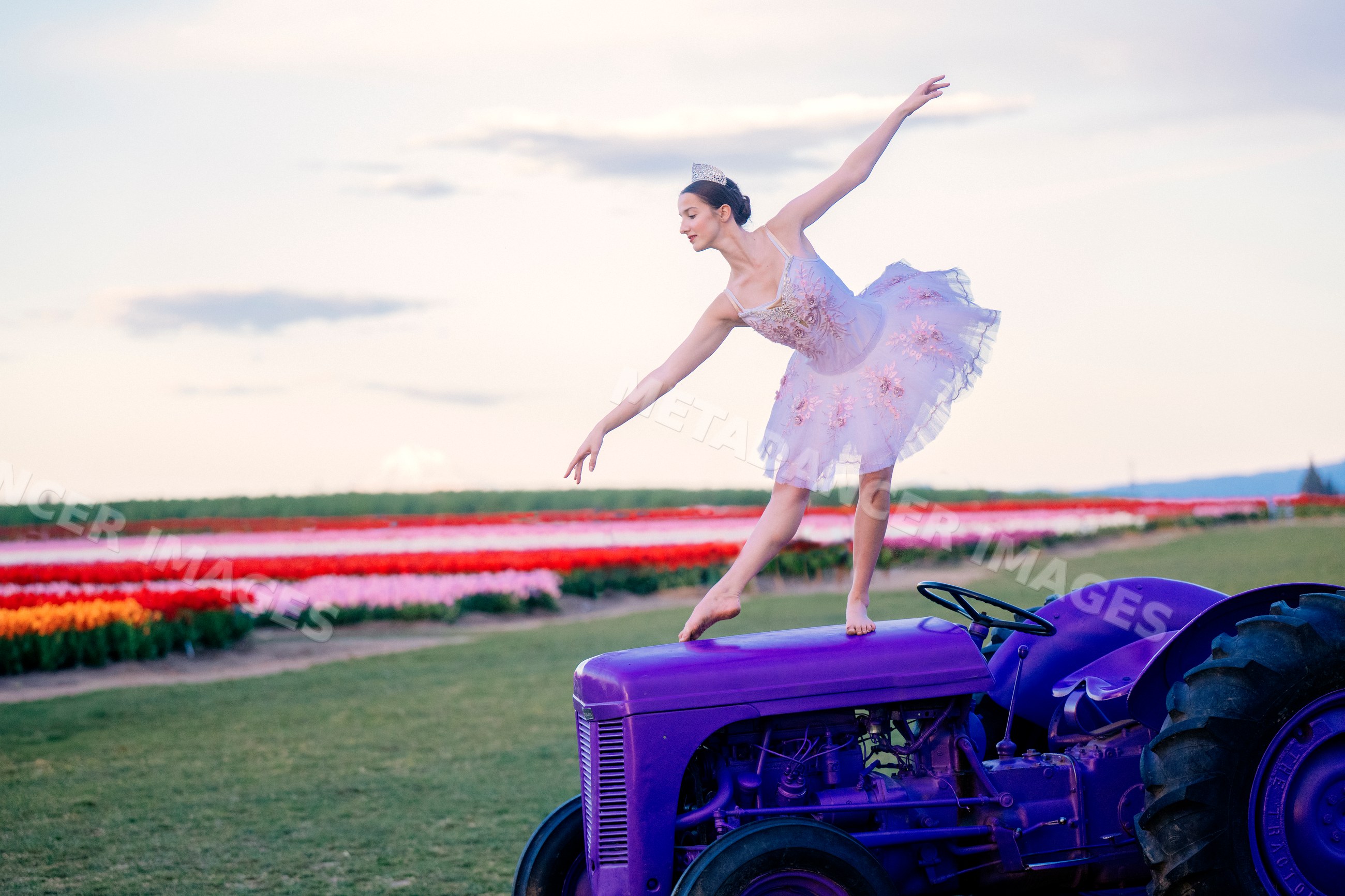 Ballet white dancer balancing gracefully on a purple tractor