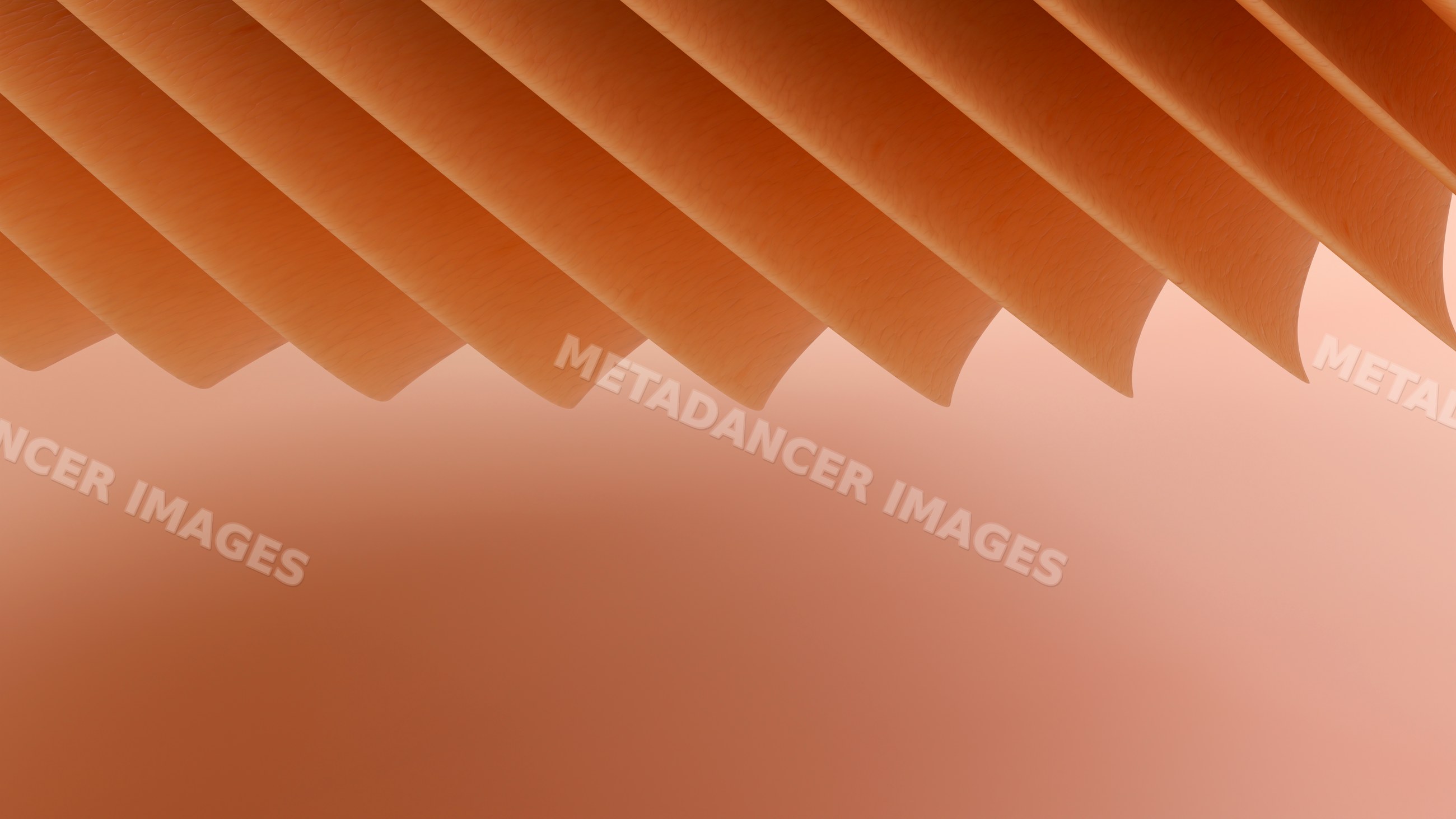 Close-up of orange acoustic guitar strings on instrument neck
