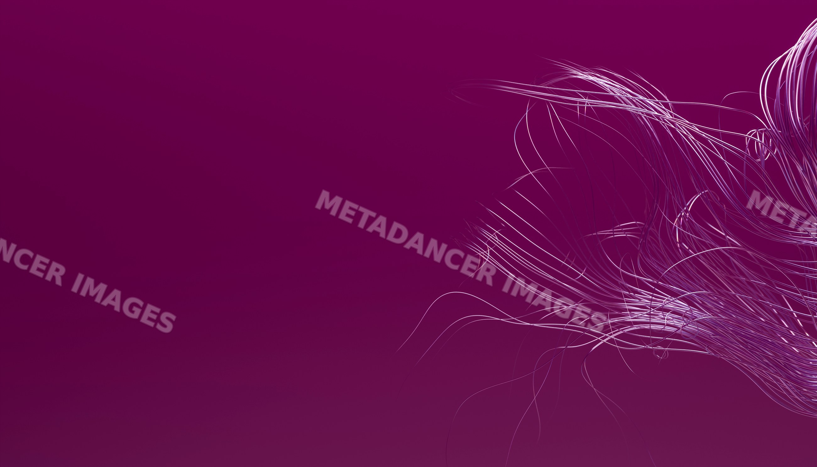 Abstract flowing delicate lines on purple background